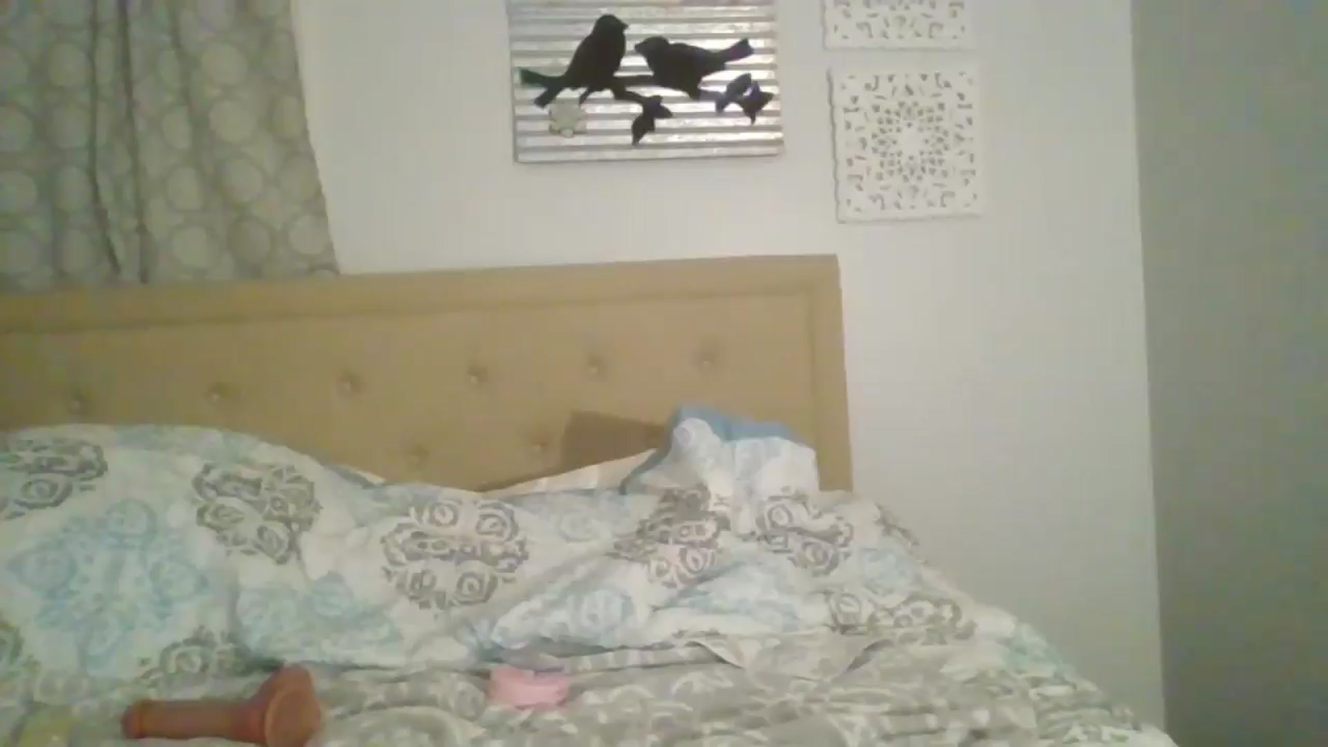Gallery image thumbnail from Shayfallen's myfreecams stream on, 08/27/2024, 11:22 image 13 of 20