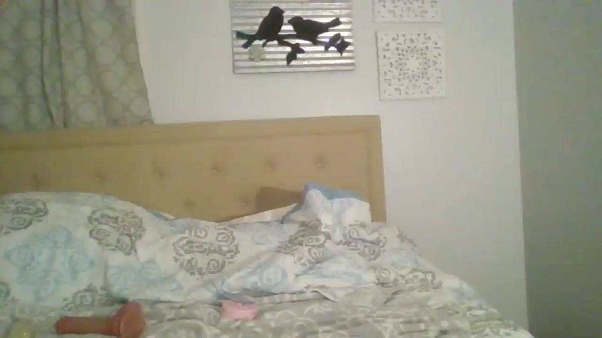 Gallery image thumbnail from Shayfallen's myfreecams stream on, 08/27/2024, 11:22 image 11 of 20