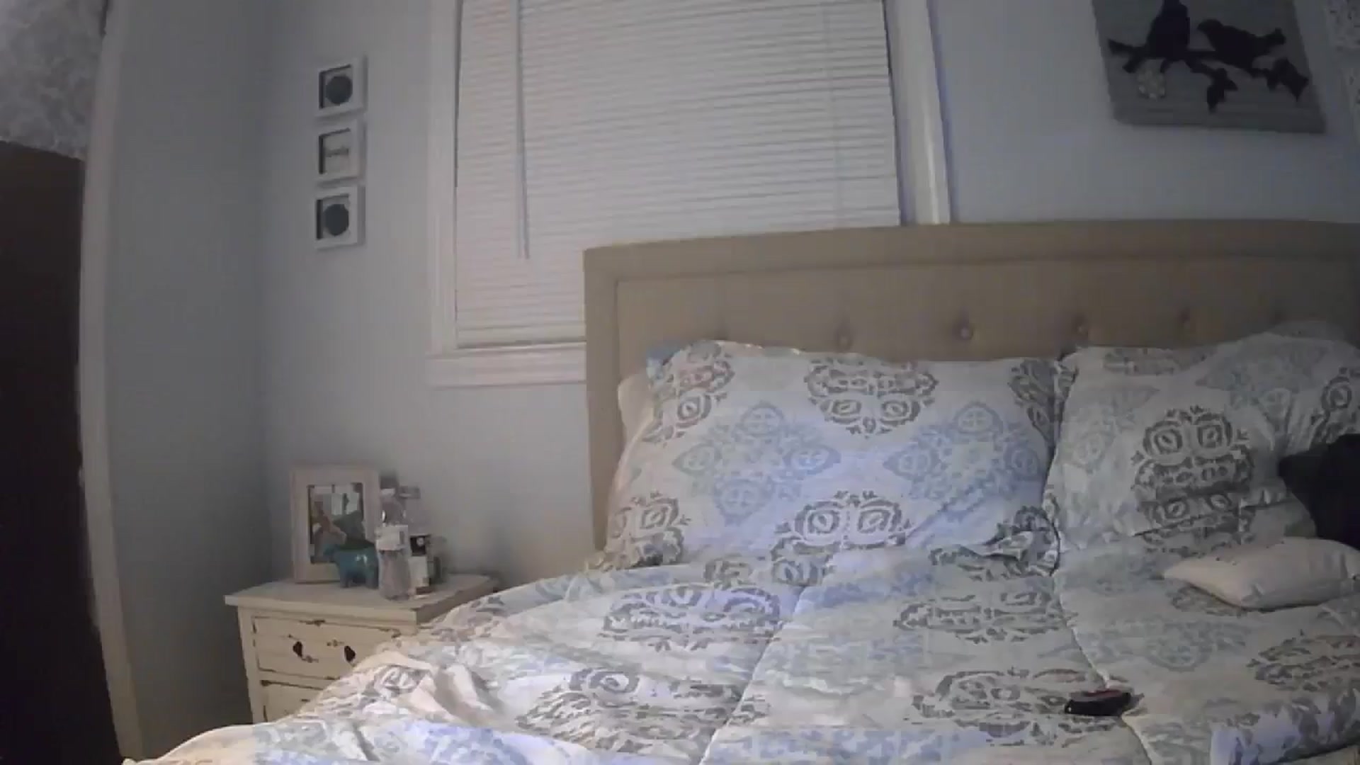 Gallery image thumbnail from Shayfallen's myfreecams stream on, 10/30/2024, 09:36 image 3 of 20
