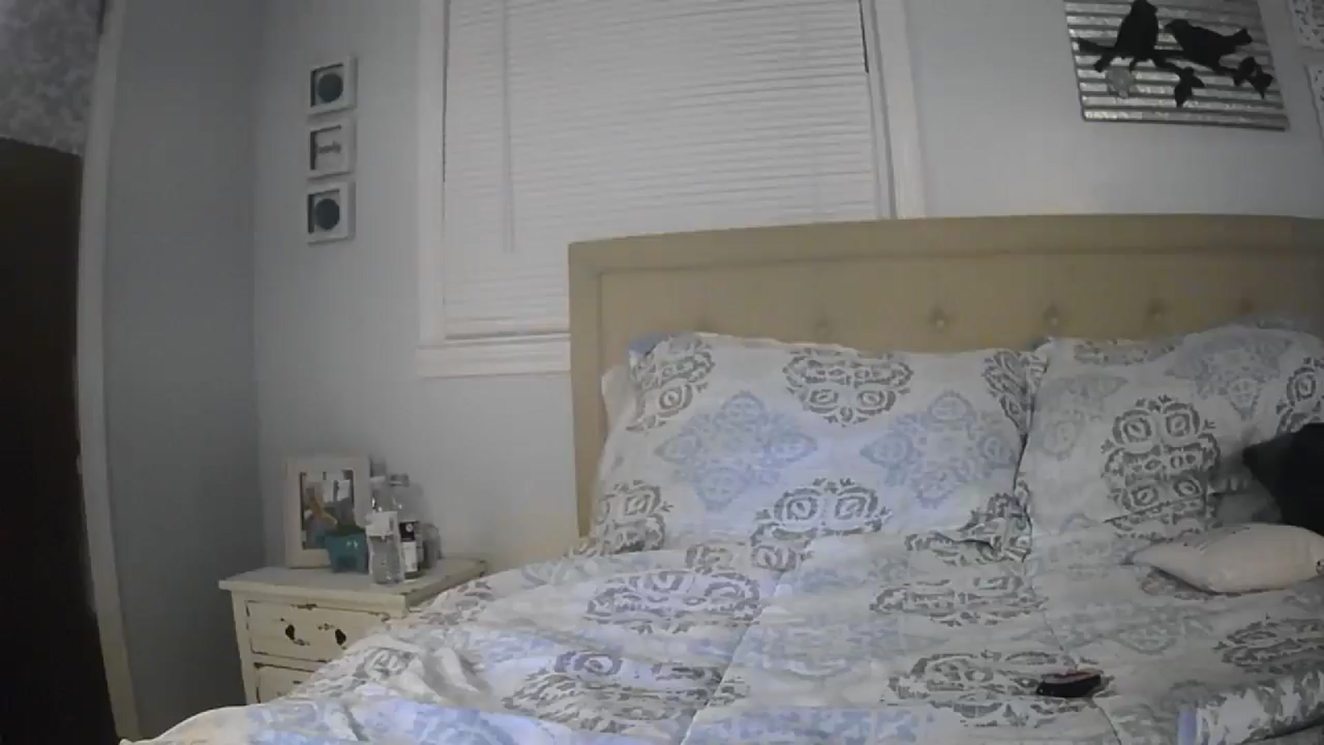 Gallery image thumbnail from Shayfallen's myfreecams stream on, 10/30/2024, 09:36 image 5 of 20