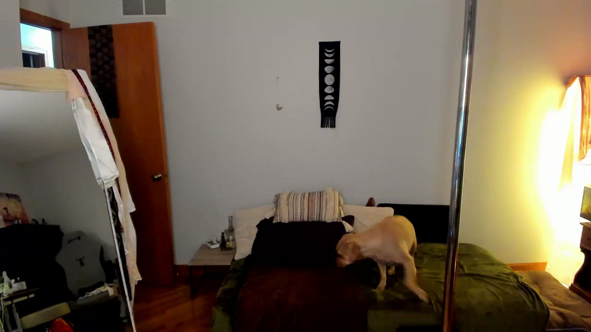 Gallery image thumbnail from She_is_Sam's myfreecams stream on, 11/04/2024, 23:56 image 19 of 20
