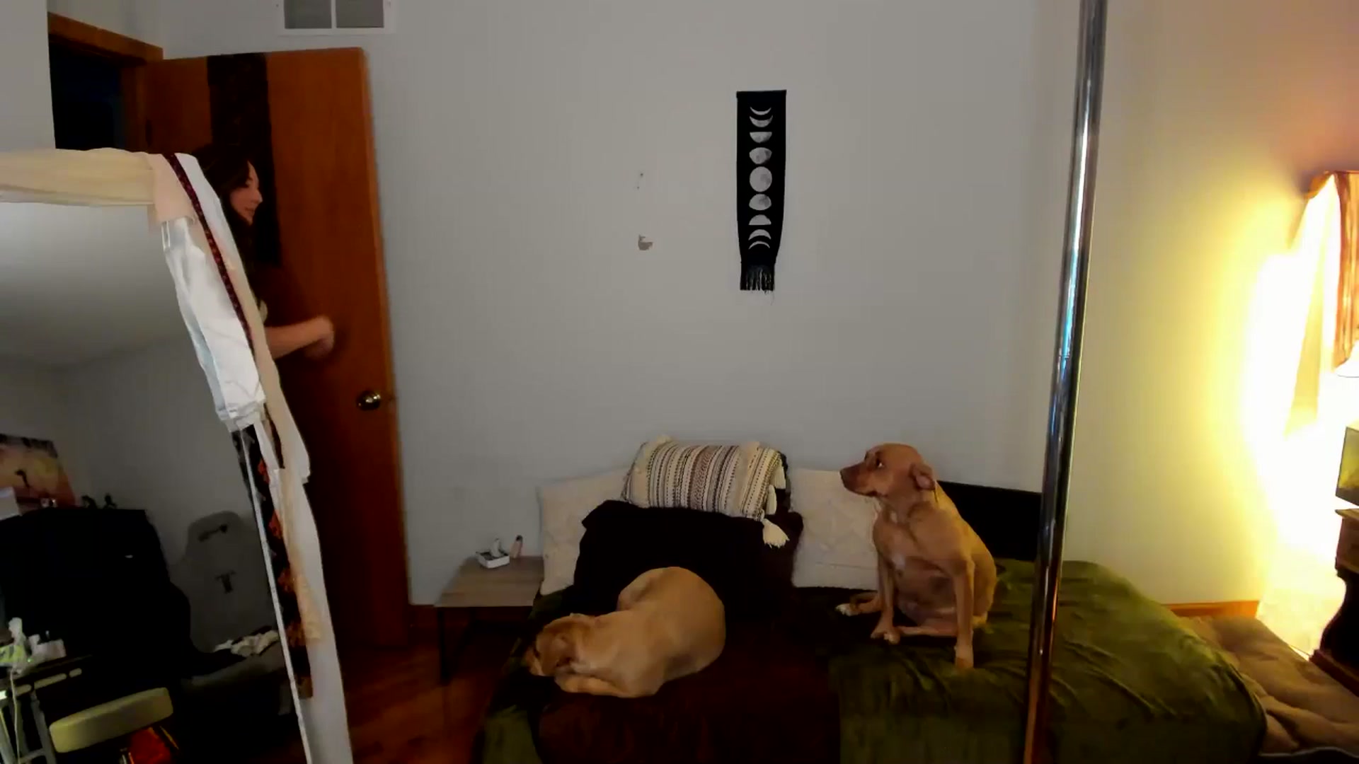Gallery image thumbnail from She_is_Sam's myfreecams stream on, 11/05/2024, 18:21 image 8 of 20