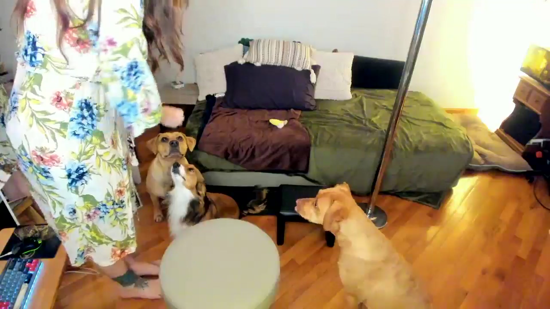 Gallery image thumbnail from She_is_Sam's myfreecams stream on, 11/05/2024, 20:03 image 10 of 20