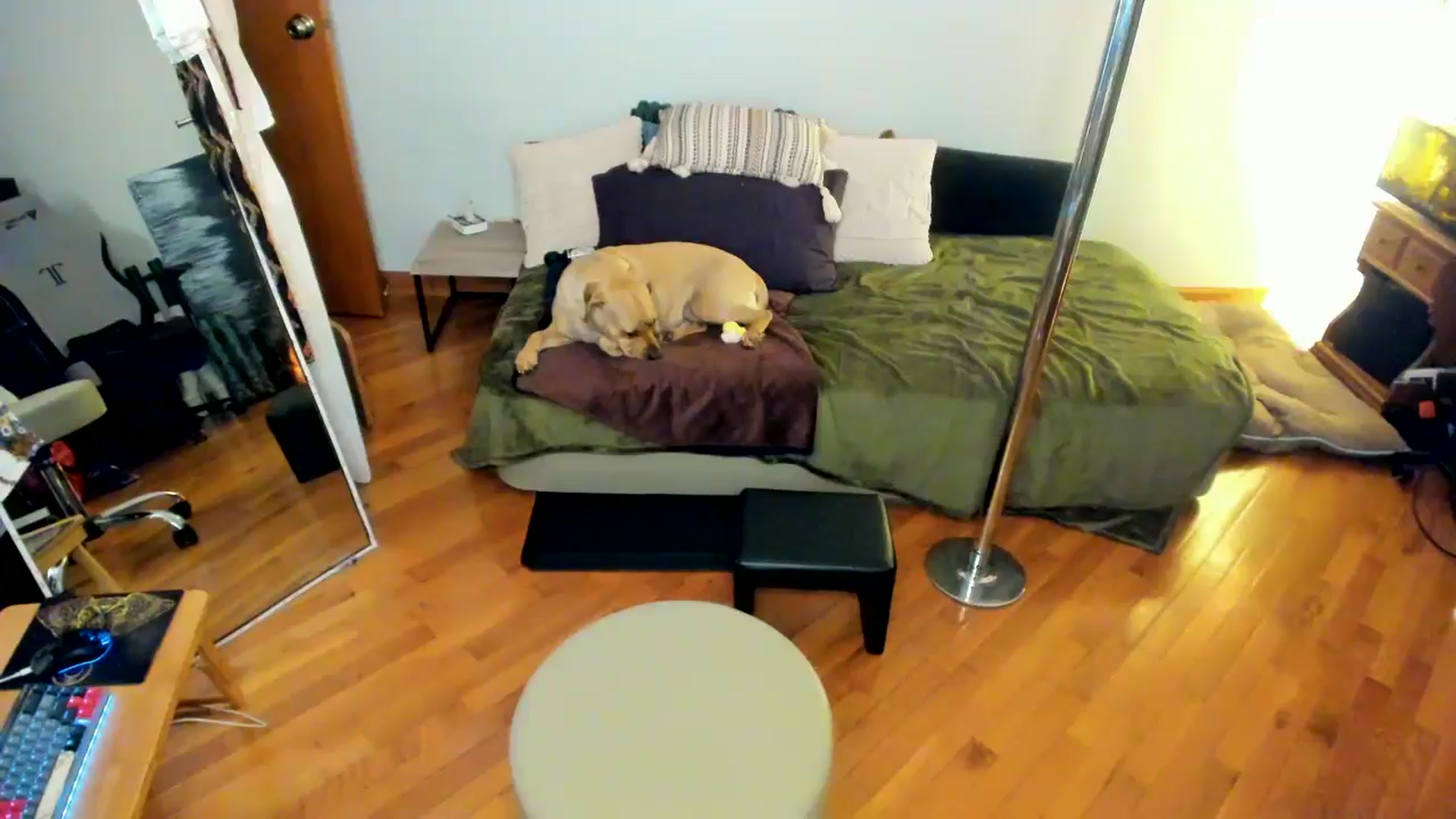 Gallery image thumbnail from She_is_Sam's myfreecams stream on, 11/05/2024, 20:03 image 16 of 20