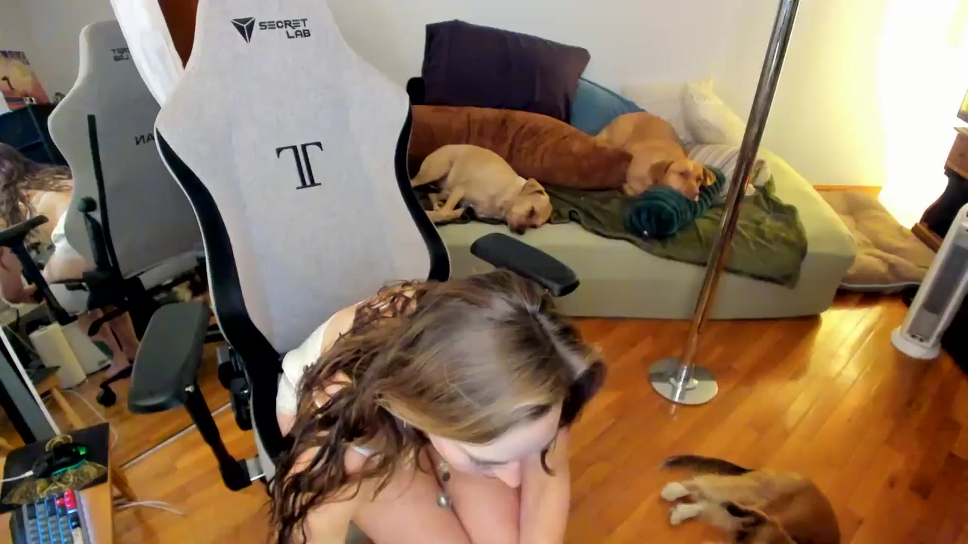 Gallery image thumbnail from She_is_Sam's myfreecams stream on, 11/13/2024, 18:25 image 1 of 20