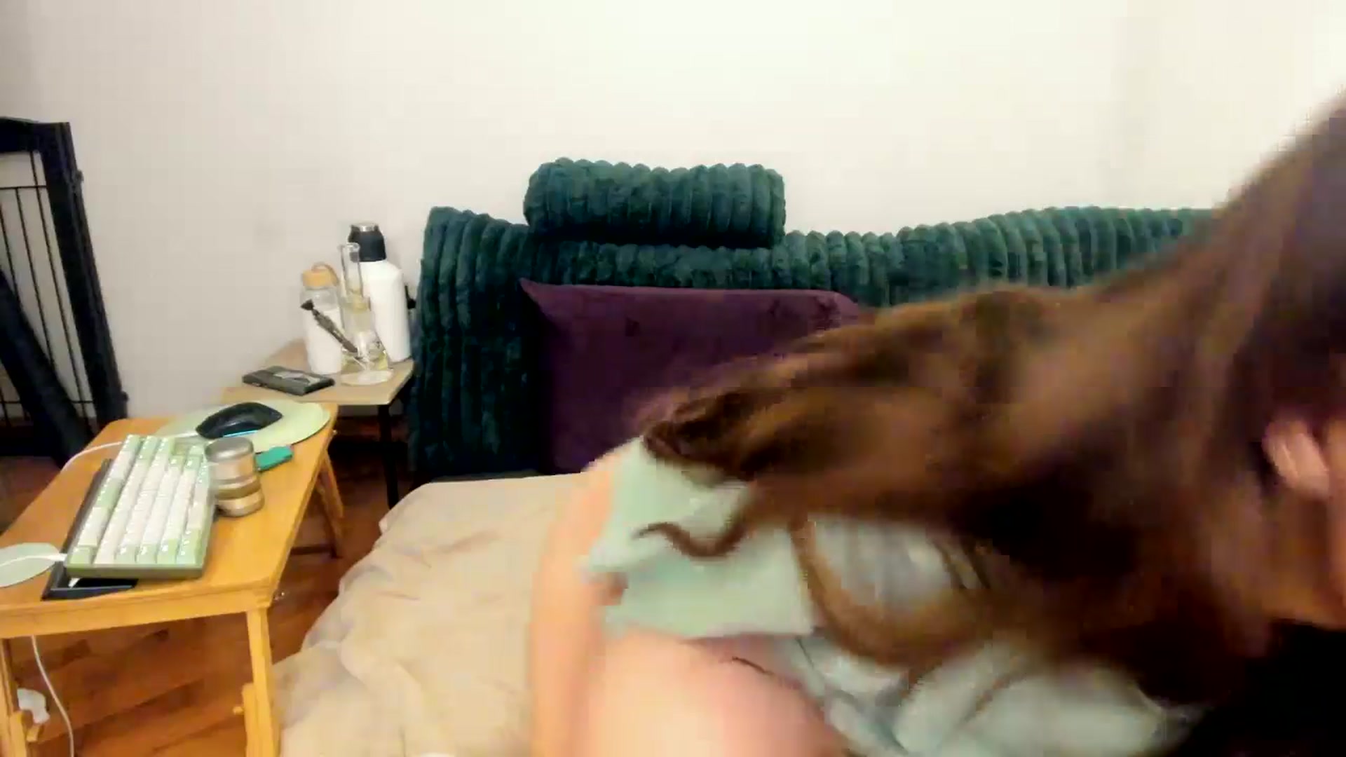 Gallery image thumbnail from She_is_Sam's myfreecams stream on, 01/30/2025, 14:53 image 20 of 20