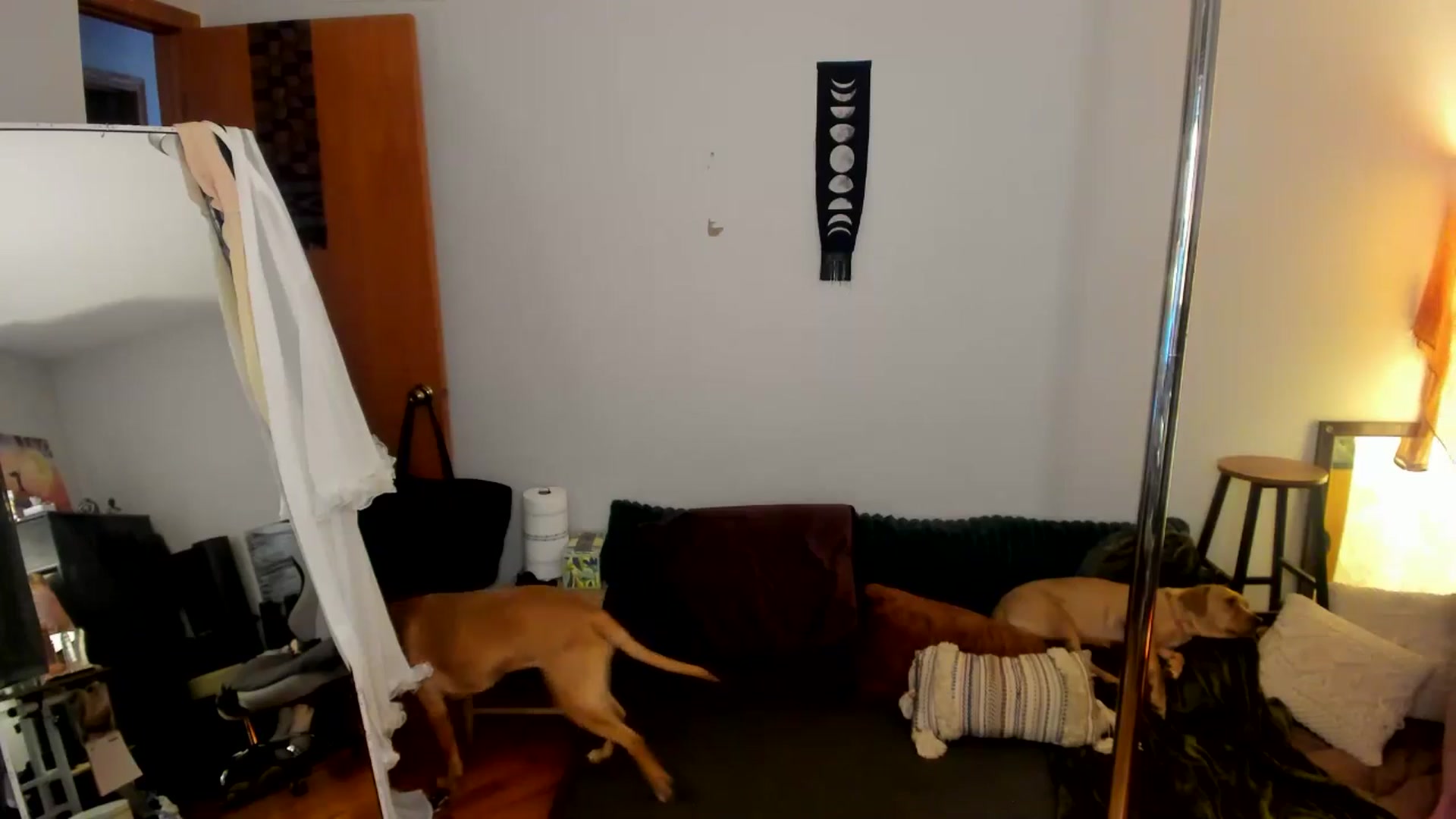 Gallery image thumbnail from She_is_Sam's myfreecams stream on, 02/10/2025, 18:08 image 4 of 20
