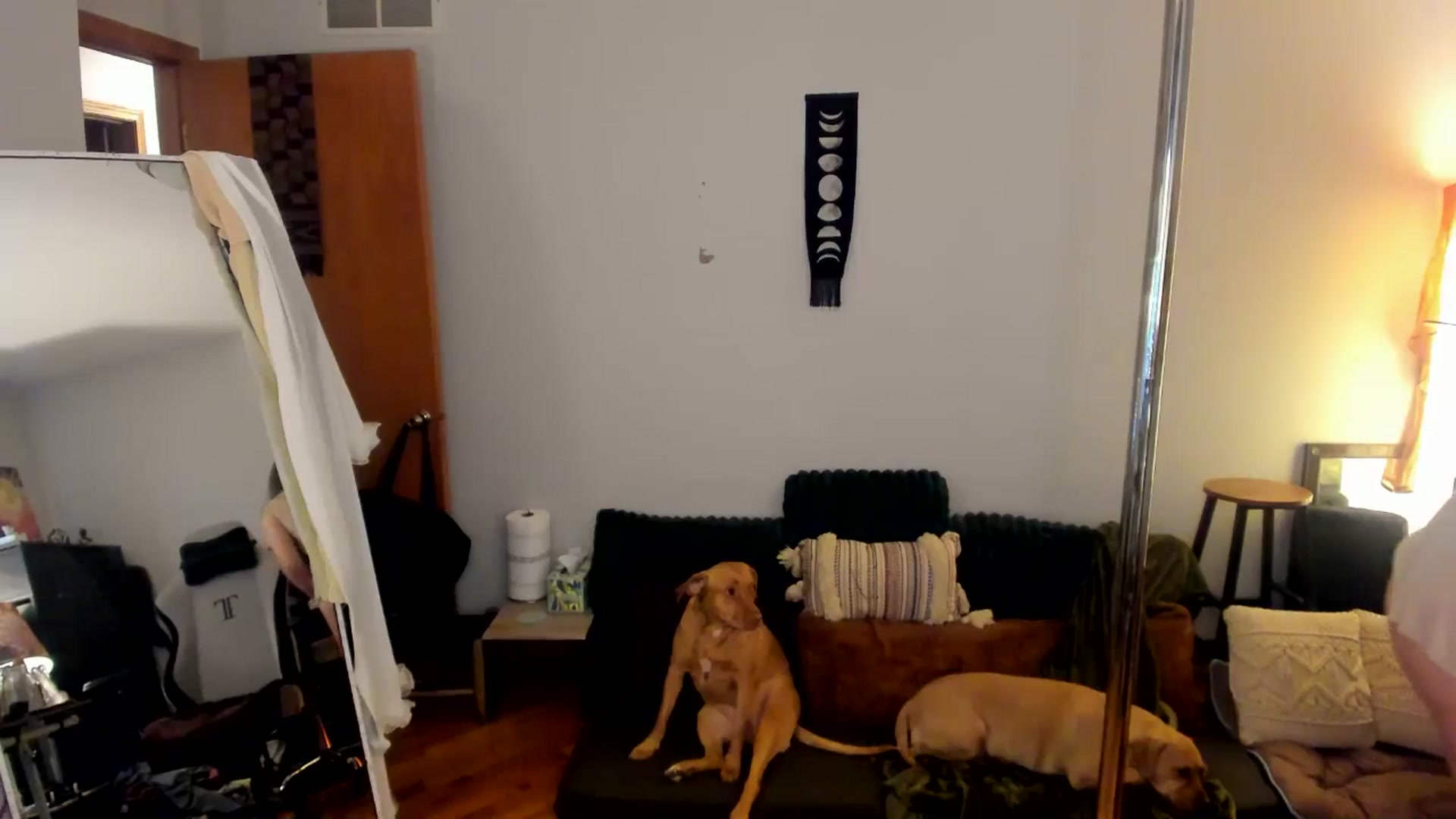 Gallery image thumbnail from She_is_Sam's myfreecams stream on, 02/21/2025, 14:24 image 11 of 20