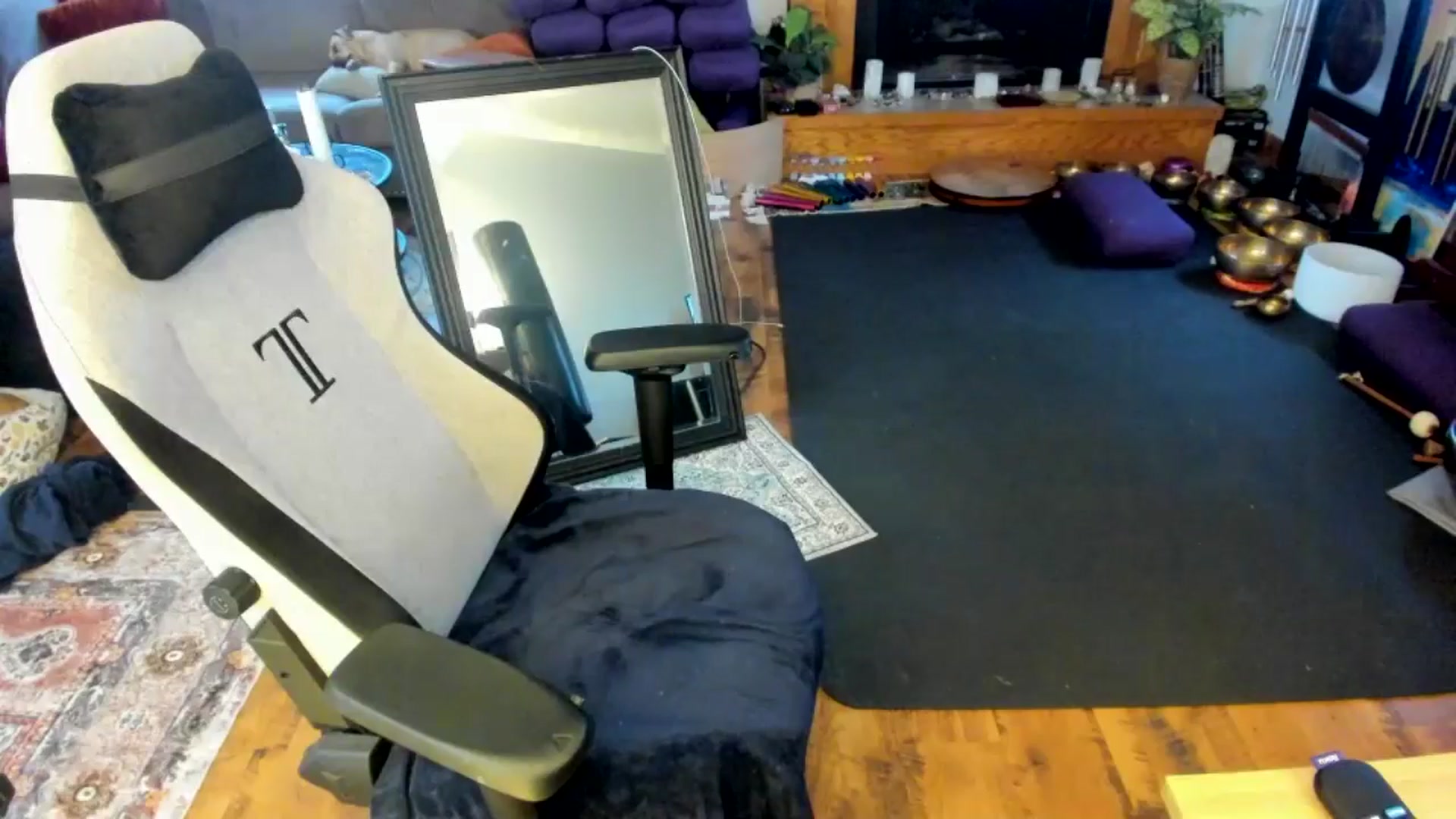 Gallery image thumbnail from She_is_Sam's myfreecams stream on, 03/11/2025, 18:44 image 15 of 20