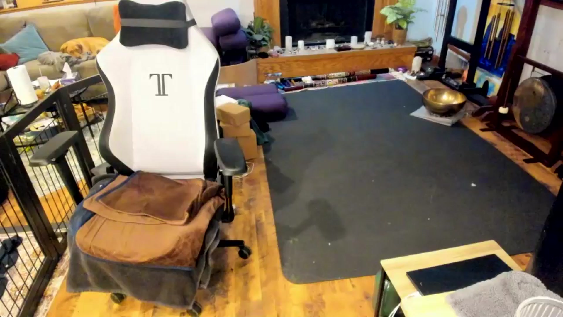 Gallery image thumbnail from She_is_Sam's myfreecams stream on, 03/22/2025, 02:45 image 2 of 20
