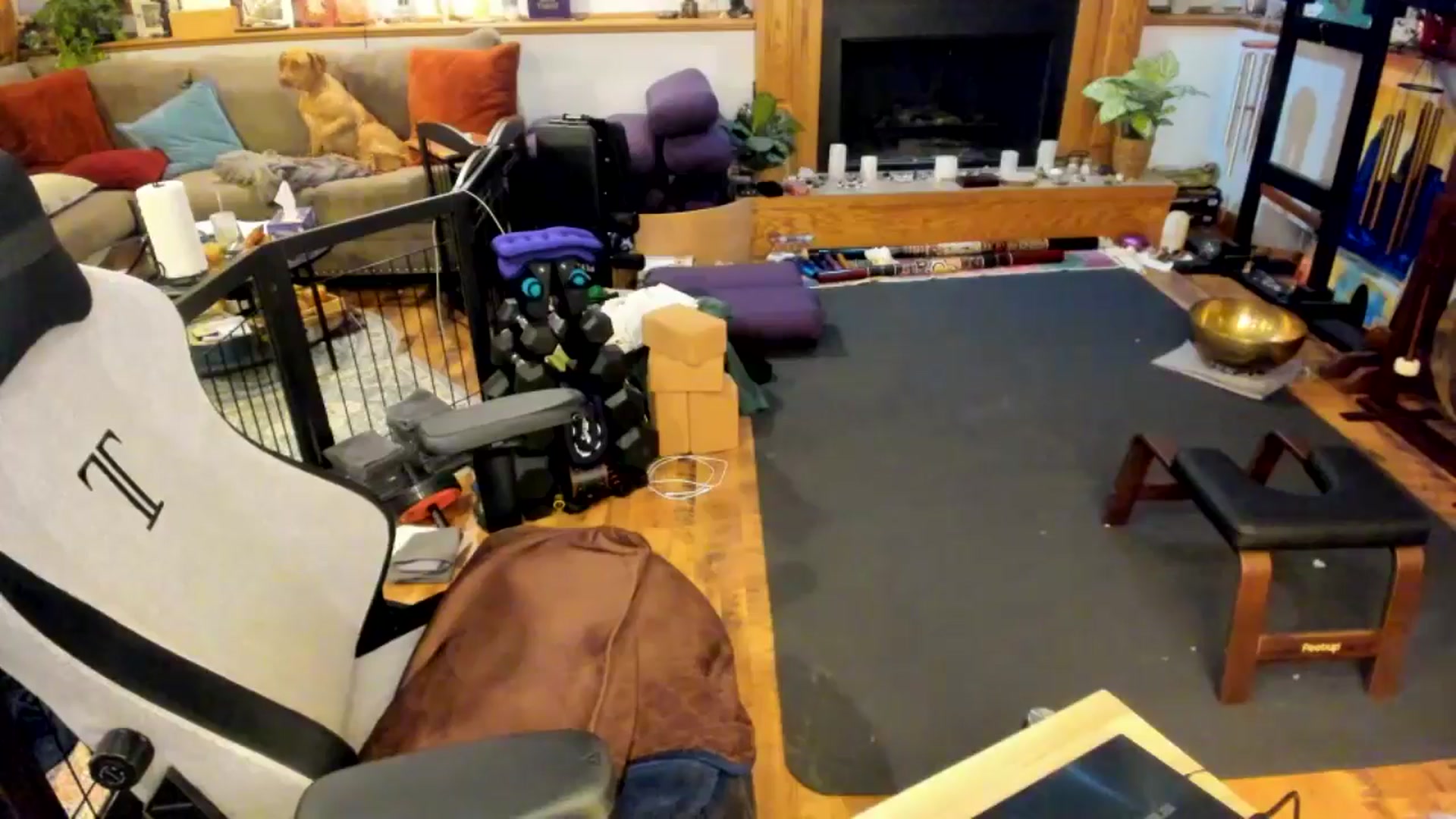 Gallery image thumbnail from She_is_Sam's myfreecams stream on, 03/22/2025, 02:45 image 5 of 20