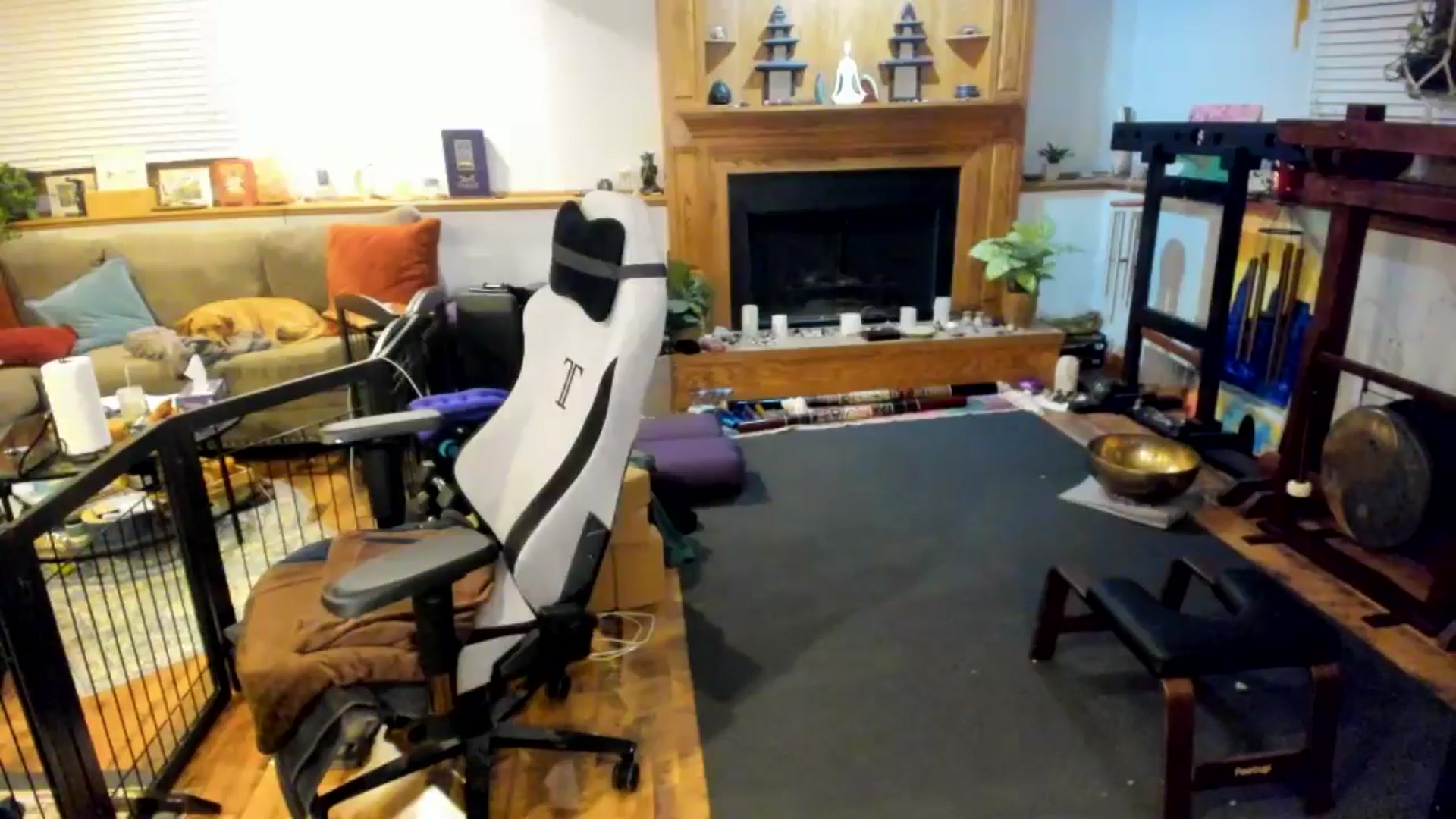 Gallery image thumbnail from She_is_Sam's myfreecams stream on, 03/22/2025, 02:45 image 4 of 20