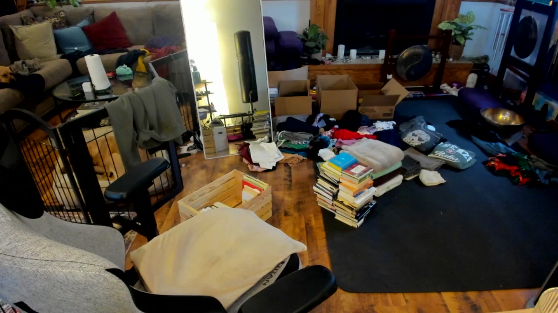 Gallery image thumbnail from She_is_Sam's myfreecams stream on, 04/01/2025, 17:55 image 13 of 20