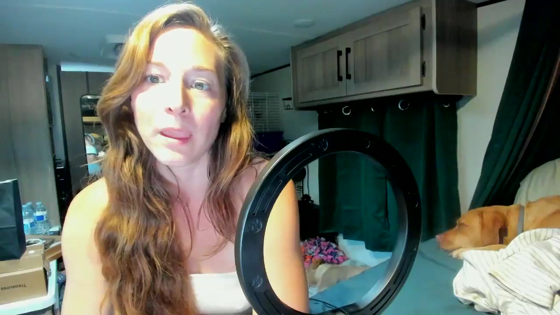 Gallery image thumbnail from She_is_Sam's myfreecams stream on, 08/14/2025, 17:53 image 13 of 20
