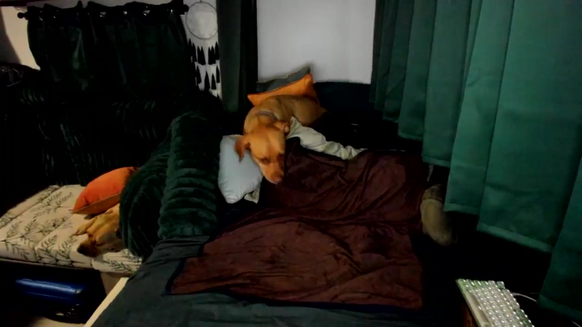Gallery image thumbnail from She_is_Sam's myfreecams stream on, 09/02/2025, 04:01 image 10 of 20