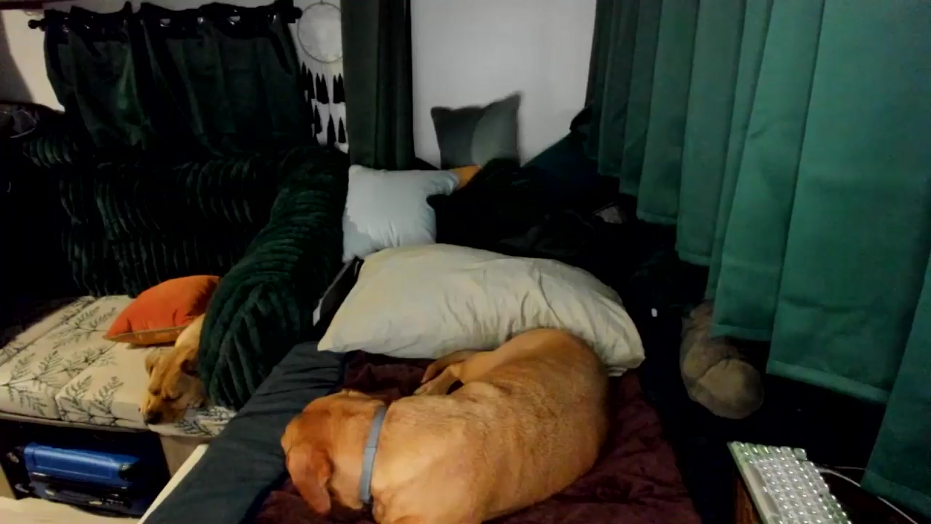 Gallery image thumbnail from She_is_Sam's myfreecams stream on, 09/02/2025, 04:01 image 15 of 20