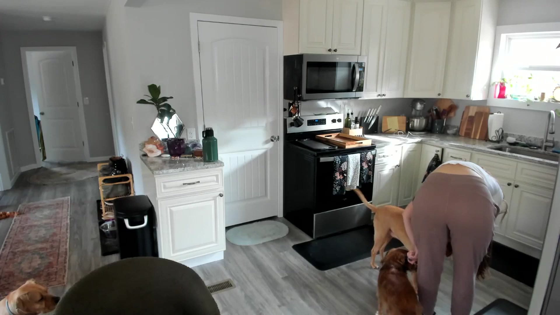 Gallery image thumbnail from She_is_Sam's myfreecams stream on, 12/21/2025, 15:57 image 14 of 20