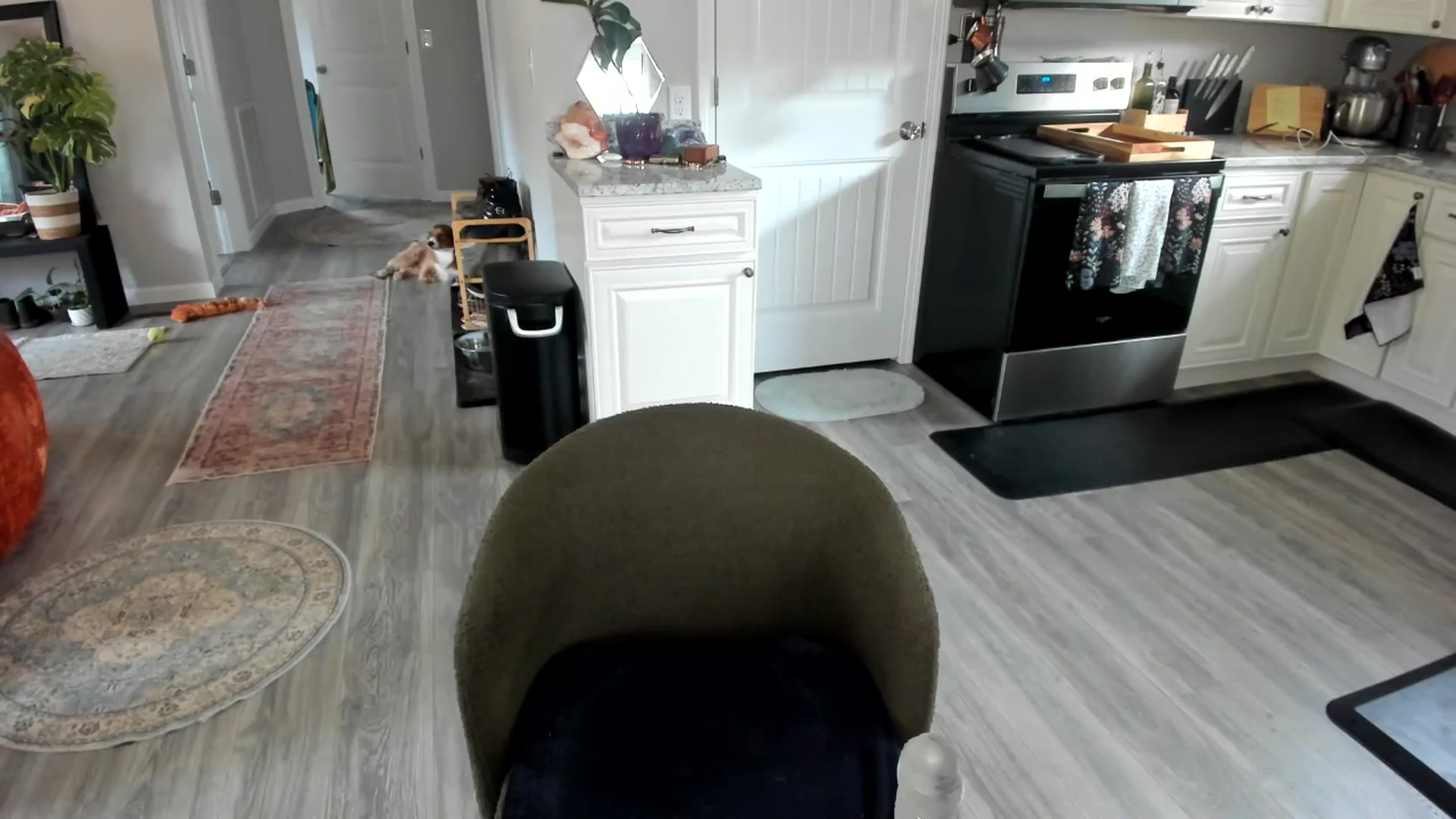 Gallery image thumbnail from She_is_Sam's myfreecams stream on, 12/21/2025, 15:57 image 19 of 20