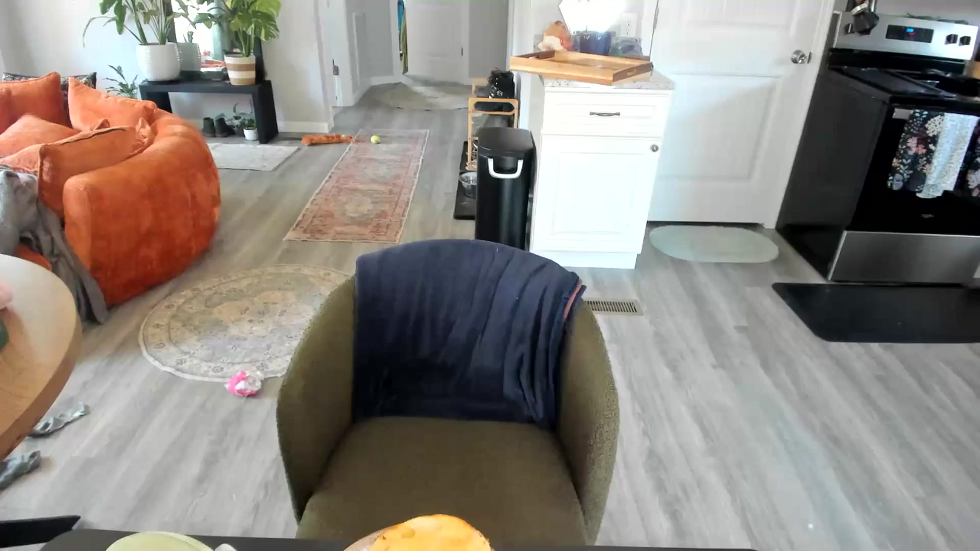 Gallery image thumbnail from She_is_Sam's myfreecams stream on, 12/21/2025, 17:36 image 13 of 20