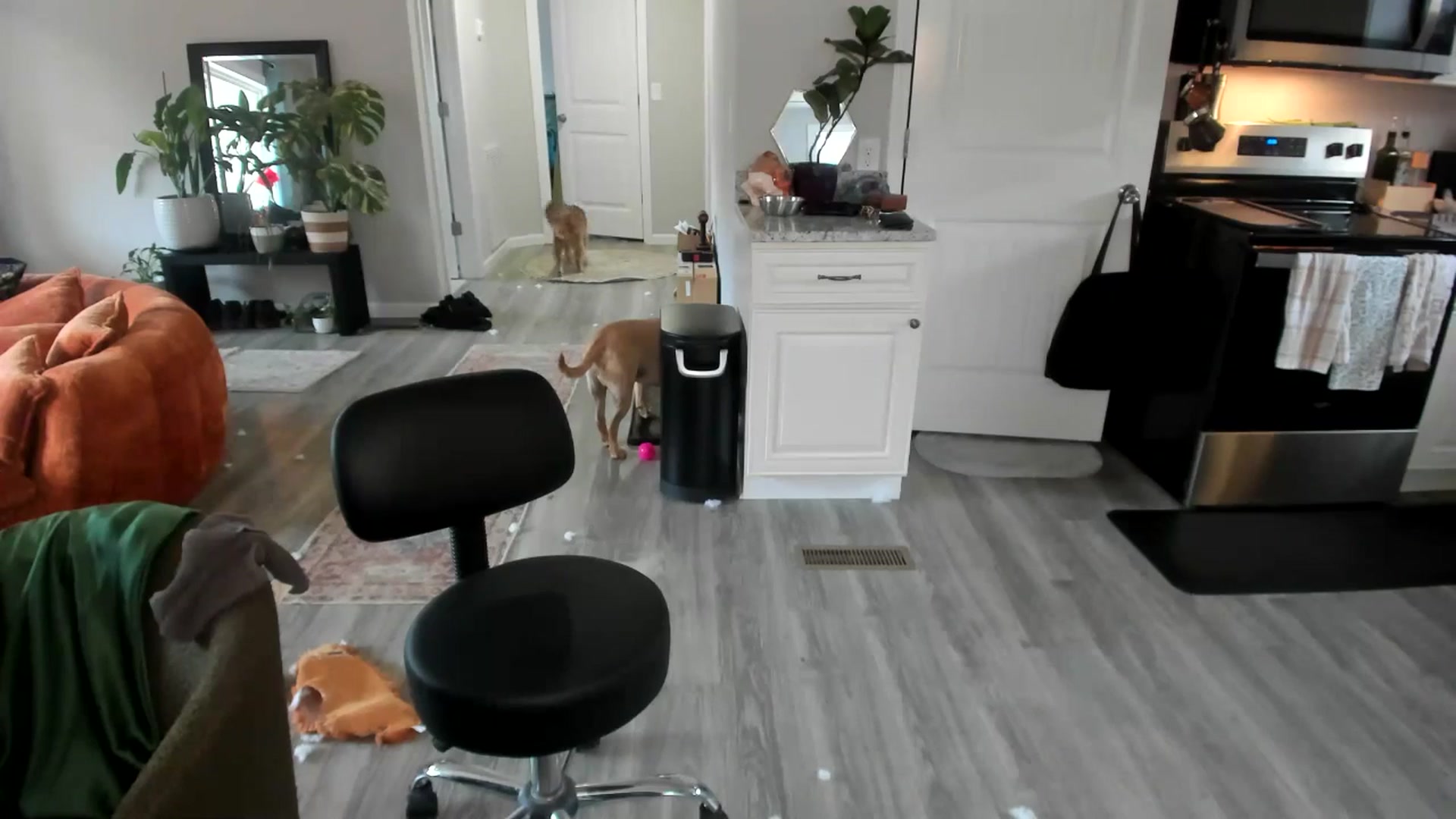 Gallery image thumbnail from She_is_Sam's myfreecams stream on, 01/02/2026, 15:17 image 15 of 20