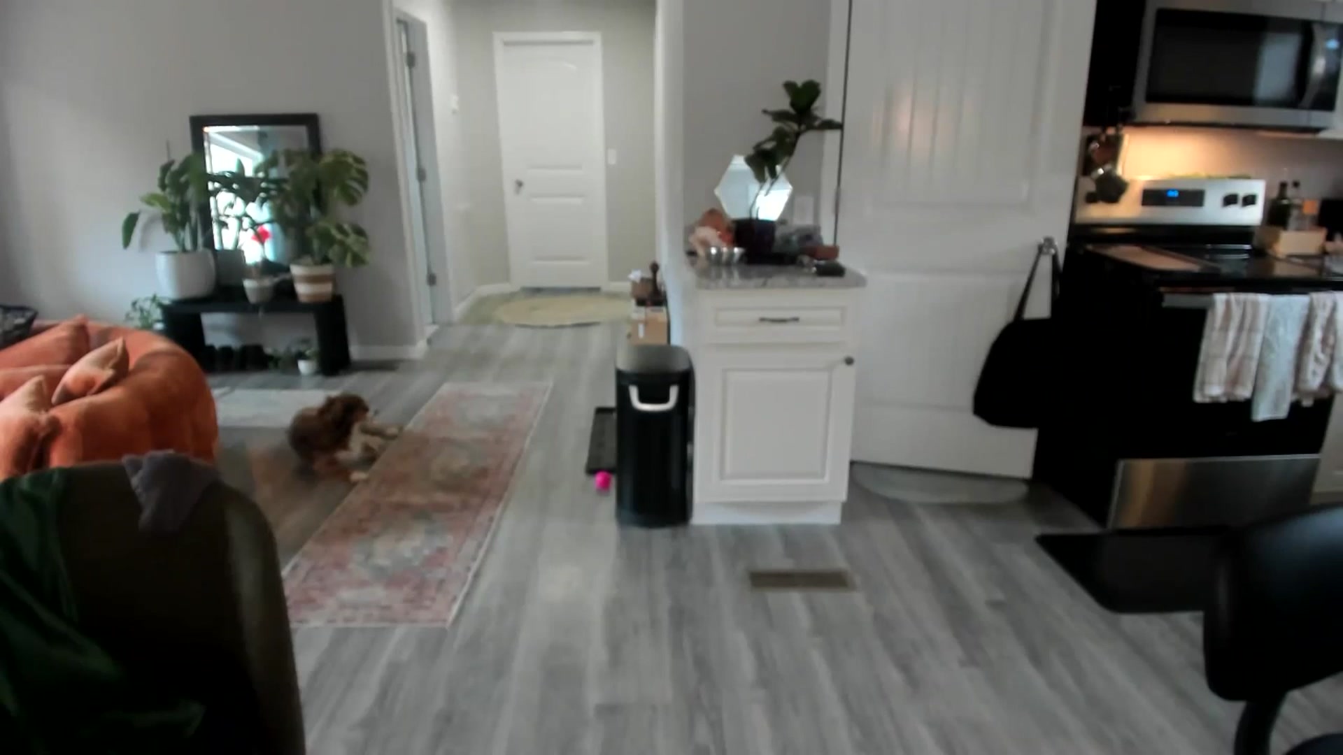 Gallery image thumbnail from She_is_Sam's myfreecams stream on, 01/02/2026, 15:17 image 18 of 20