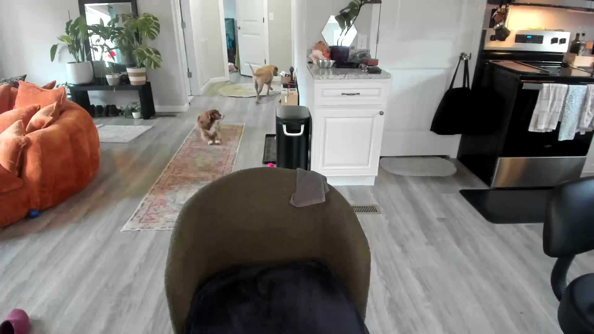 Gallery image thumbnail from She_is_Sam's myfreecams stream on, 01/02/2026, 15:52 image 15 of 20