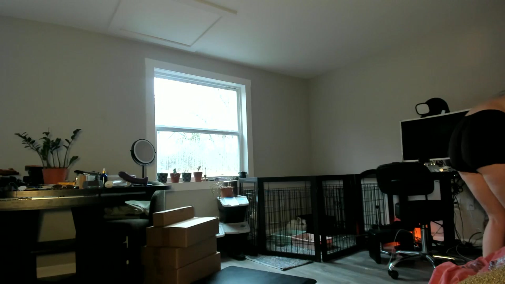 Gallery image thumbnail from She_is_Sam's myfreecams stream on, 01/09/2026, 17:12 image 20 of 20