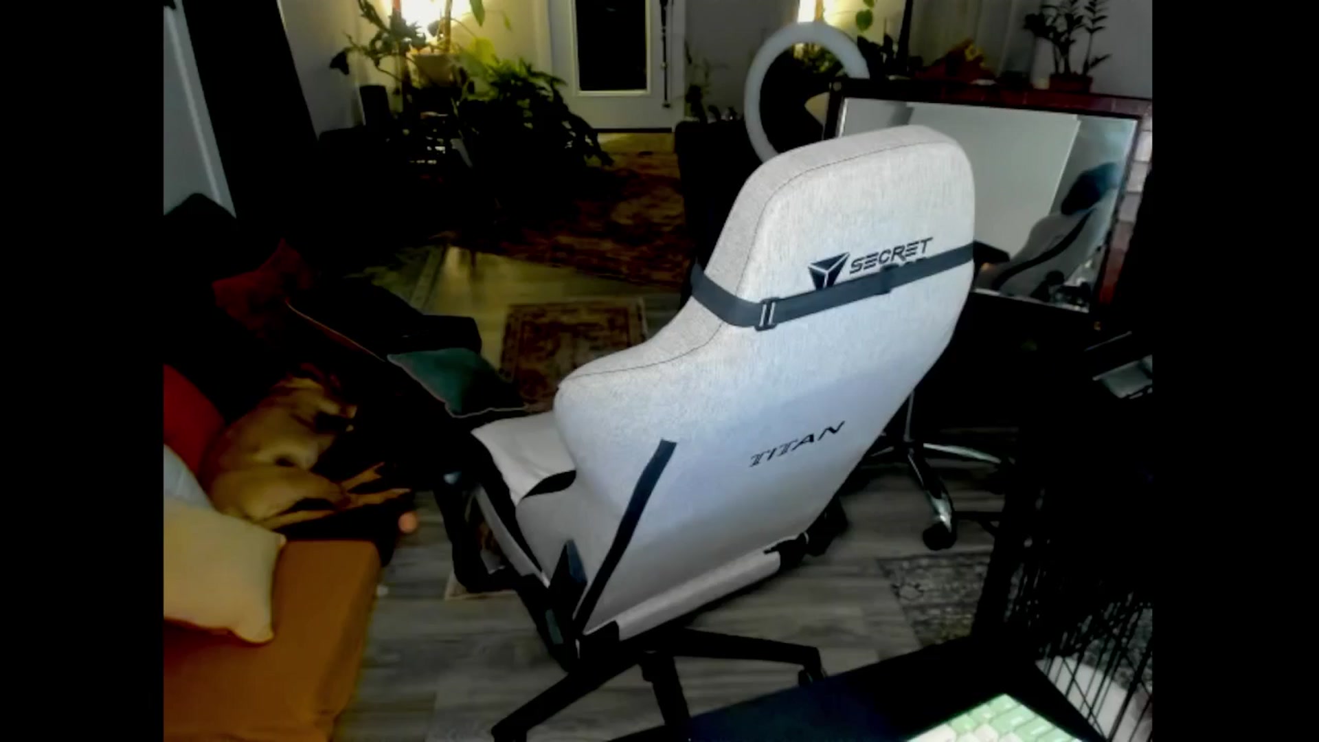 Gallery image thumbnail from She_is_Sam's myfreecams stream on, 02/25/2026, 04:31 image 14 of 20