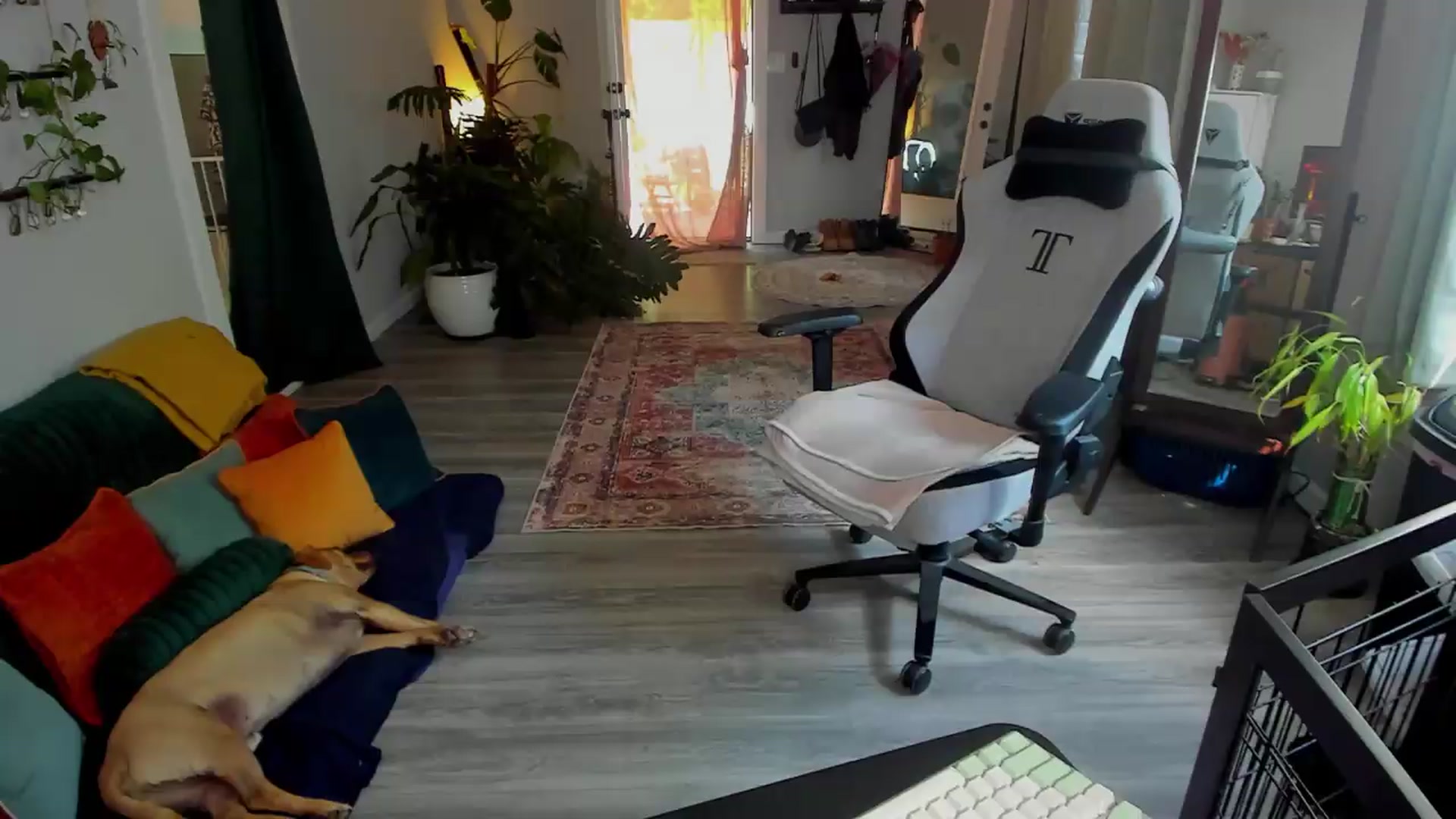 Gallery image thumbnail from She_is_Sam's myfreecams stream on, 05/18/2026, 22:02 image 1 of 20