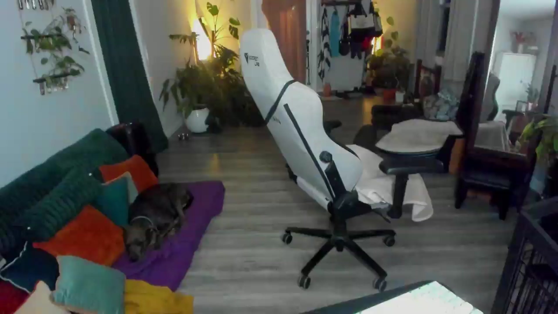 Gallery image thumbnail from She_is_Sam's myfreecams stream on, 06/04/2026, 05:15 image 20 of 20