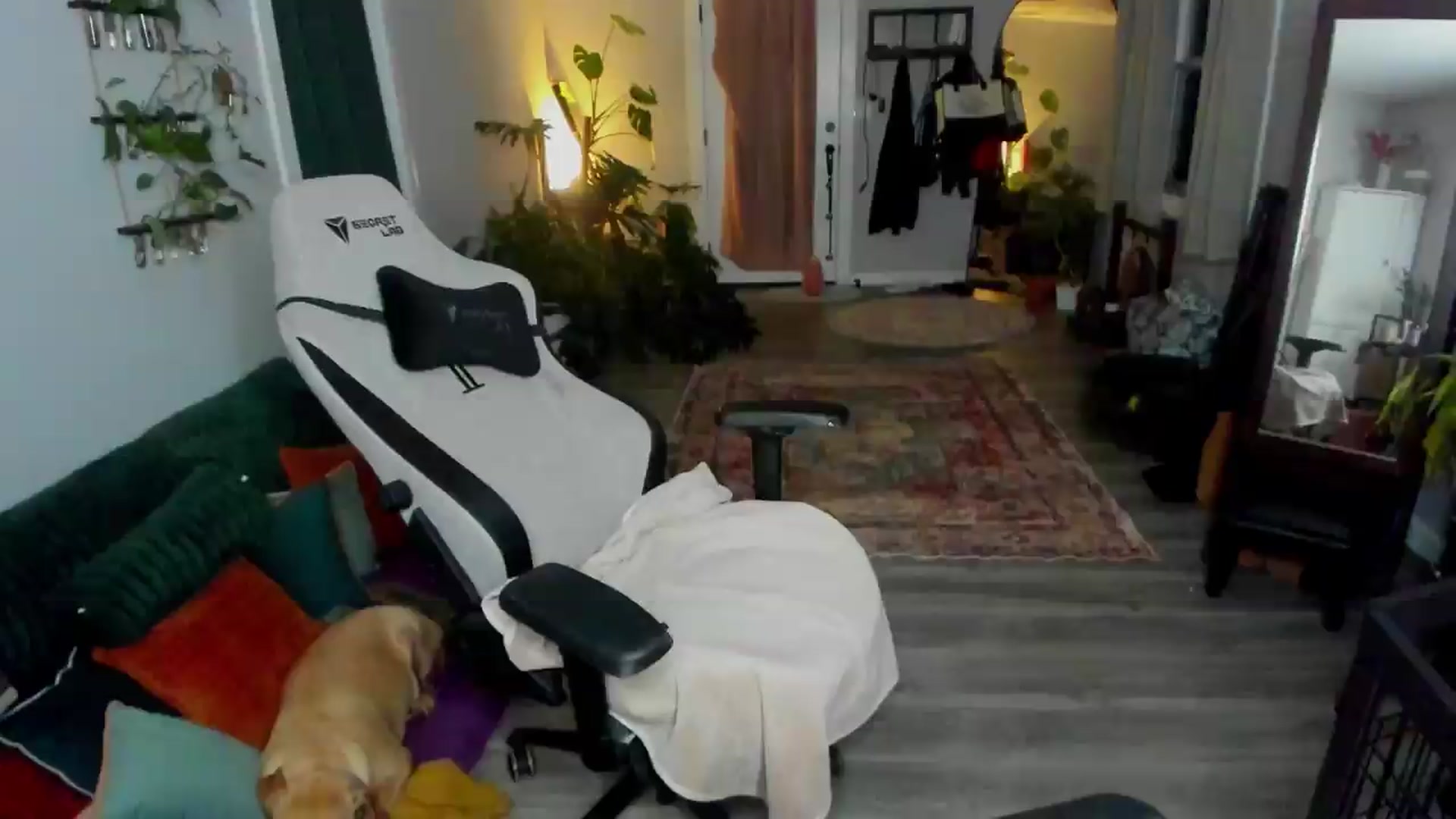 Gallery image thumbnail from She_is_Sam's myfreecams stream on, 06/06/2026, 05:32 image 7 of 20