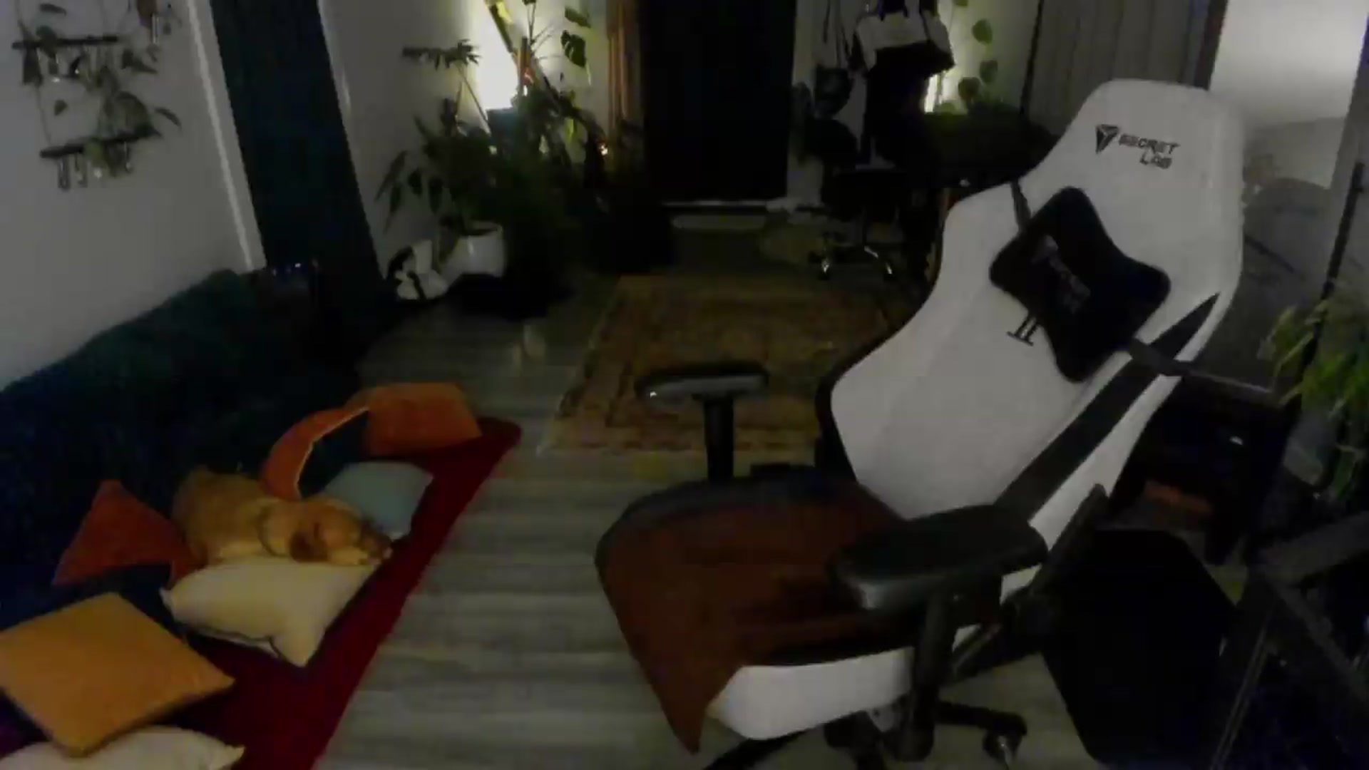 Gallery image thumbnail from She_is_Sam's myfreecams stream on, 06/28/2026, 02:16 image 8 of 20
