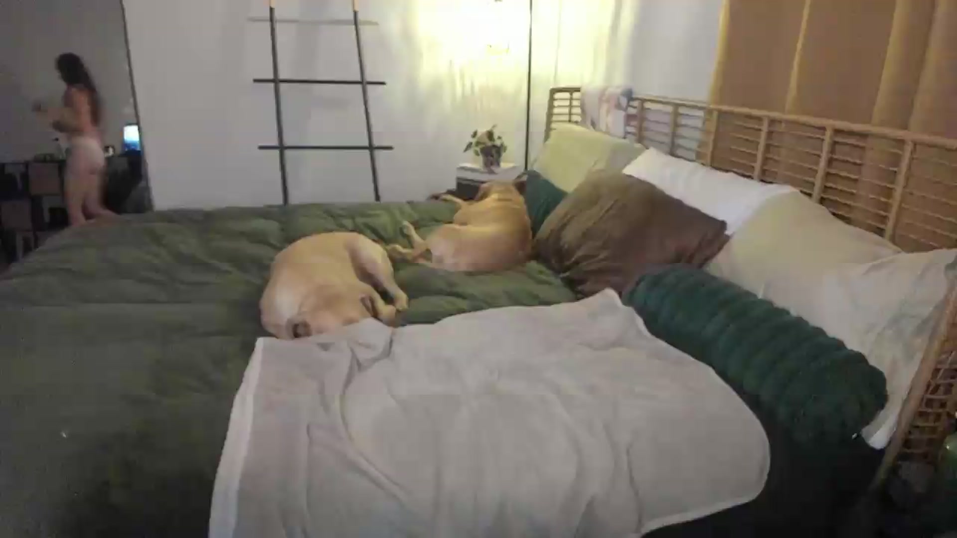 Gallery image thumbnail from She_is_Sam's myfreecams stream on, 08/01/2026, 09:41 image 7 of 20