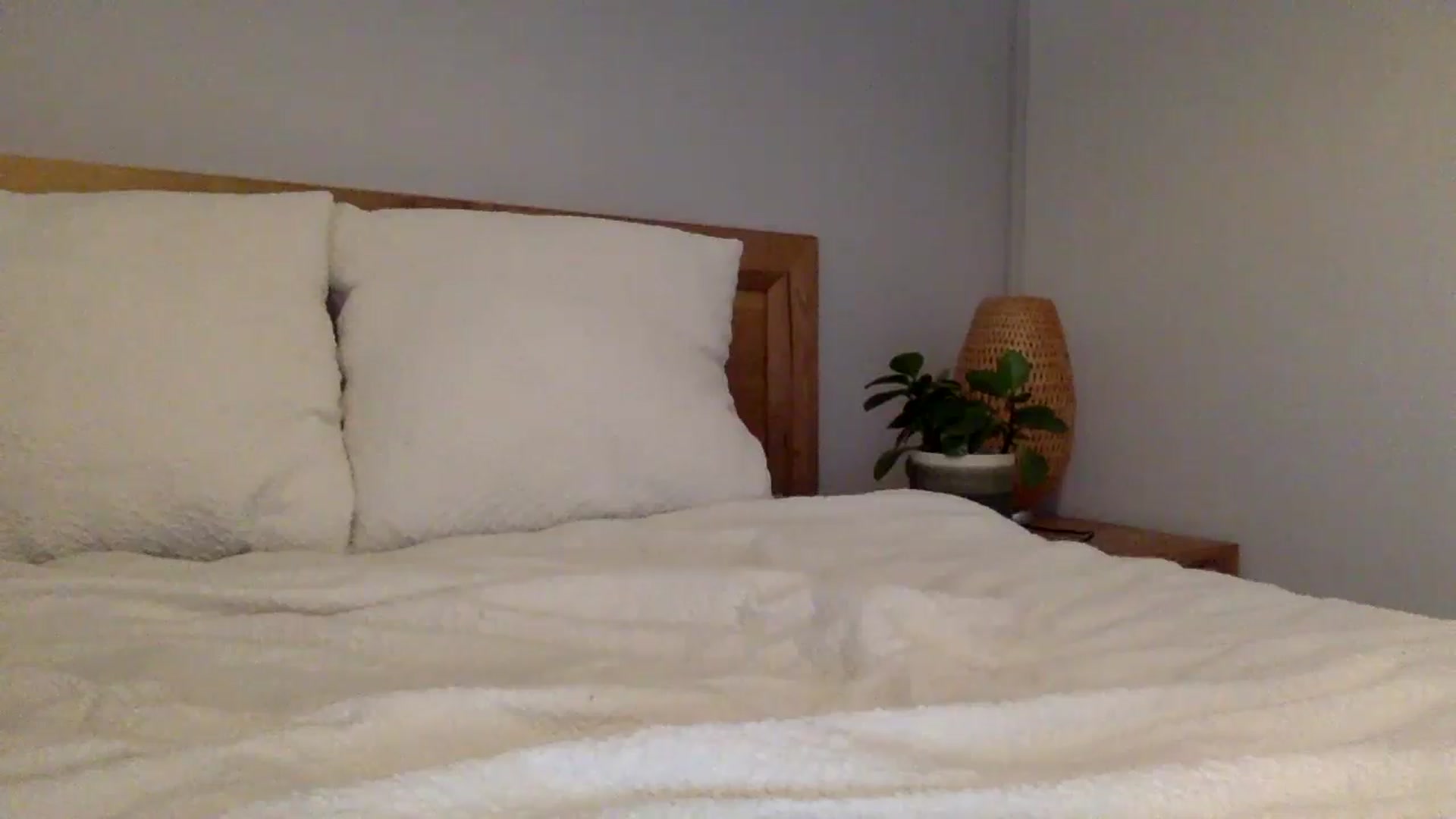 Gallery image thumbnail from Shelzstar's myfreecams stream on, 11/27/2024, 09:09 image 6 of 20