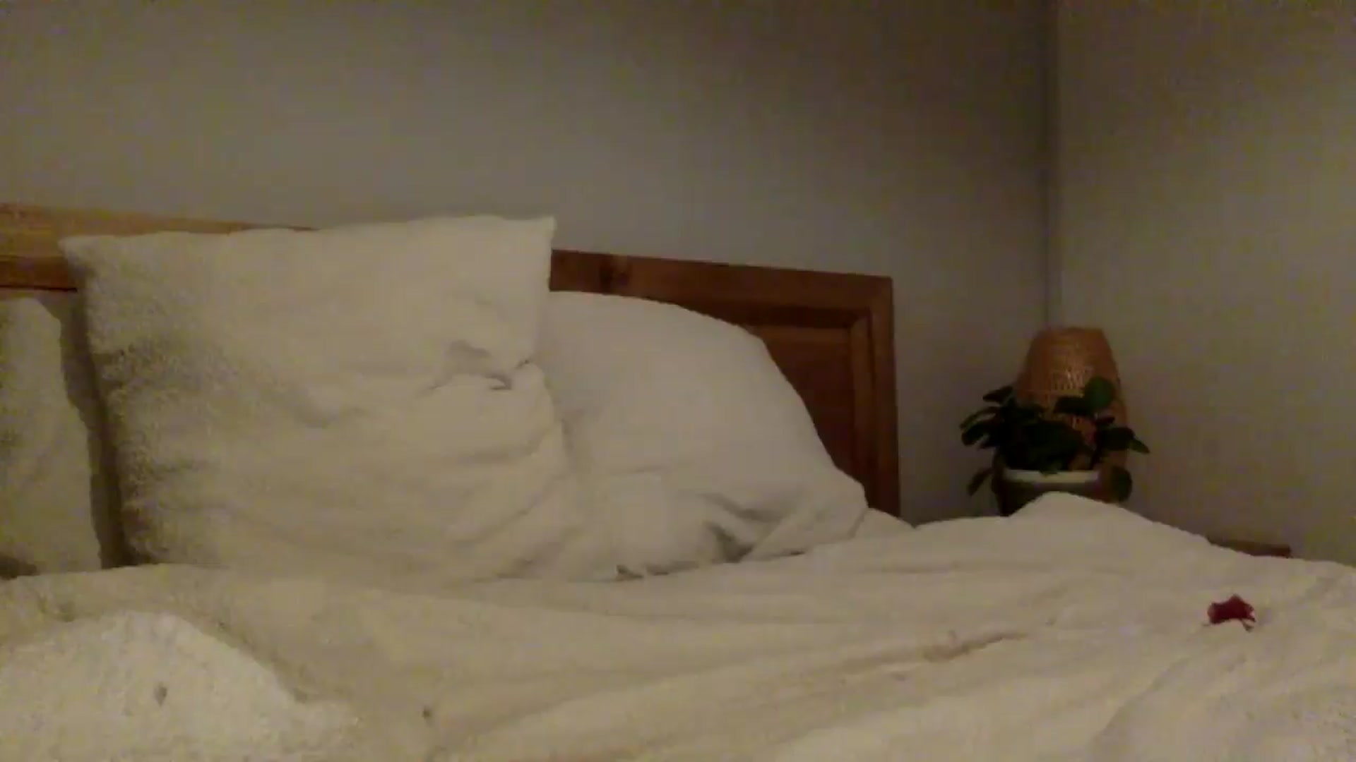 Gallery image thumbnail from Shelzstar's myfreecams stream on, 11/28/2024, 14:08 image 13 of 20