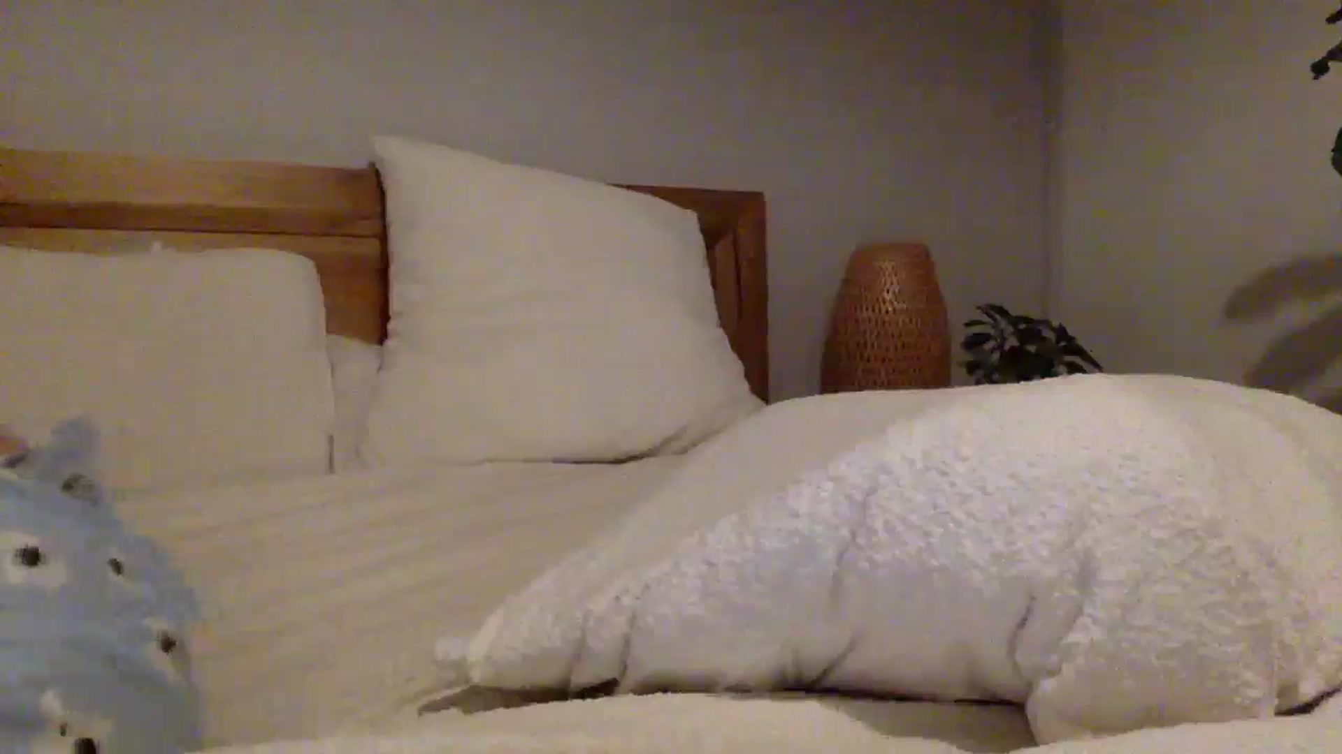 Gallery image thumbnail from Shelzstar's myfreecams stream on, 01/09/2025, 13:25 image 18 of 20