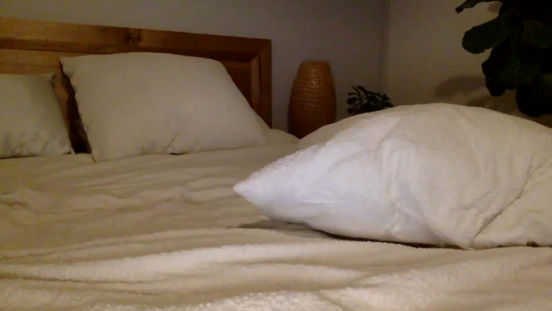 Gallery image thumbnail from Shelzstar's myfreecams stream on, 01/20/2025, 13:45 image 8 of 20