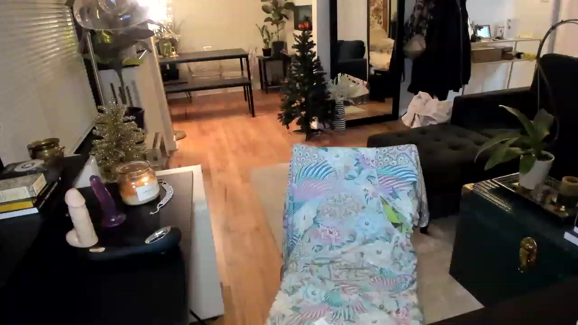 Gallery image thumbnail from ShiaKennedy's myfreecams stream on, 12/04/2022, 08:05 image 3 of 20