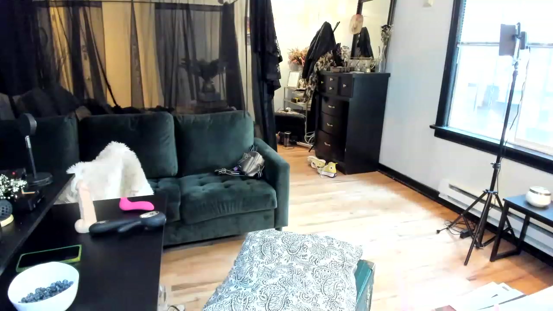 Gallery image thumbnail from ShiaKennedy's myfreecams stream on, 03/24/2023, 24:05 image 20 of 20