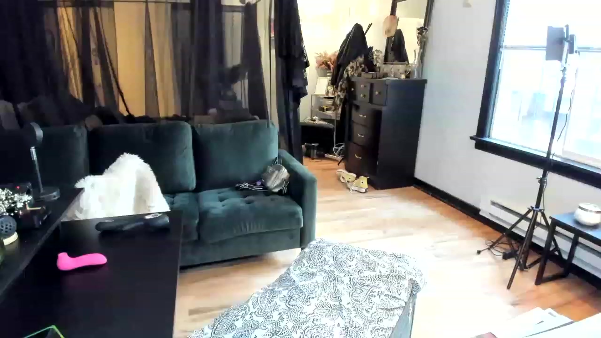 Gallery image thumbnail from ShiaKennedy's myfreecams stream on, 03/24/2023, 24:05 image 12 of 20