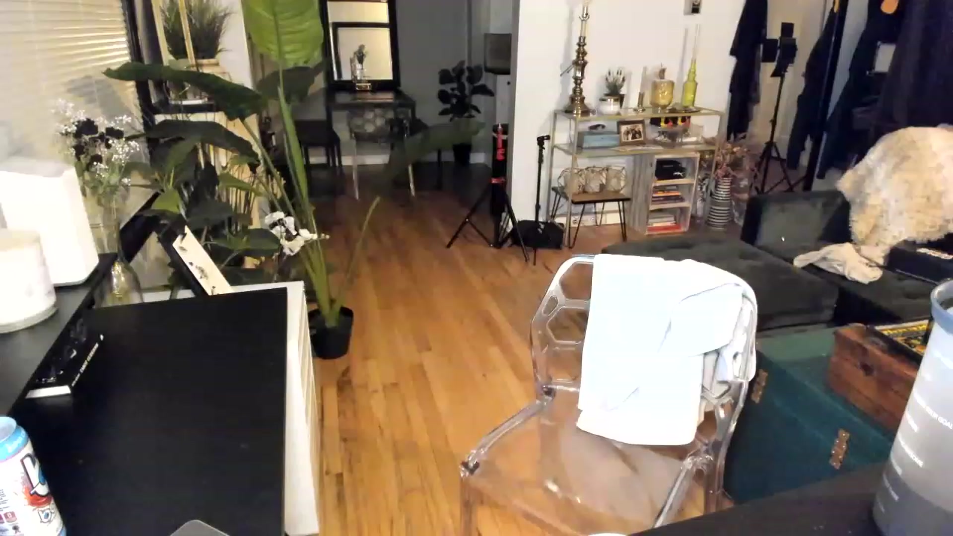 Gallery image thumbnail from ShiaKennedy's myfreecams stream on, 05/12/2023, 05:03 image 19 of 20