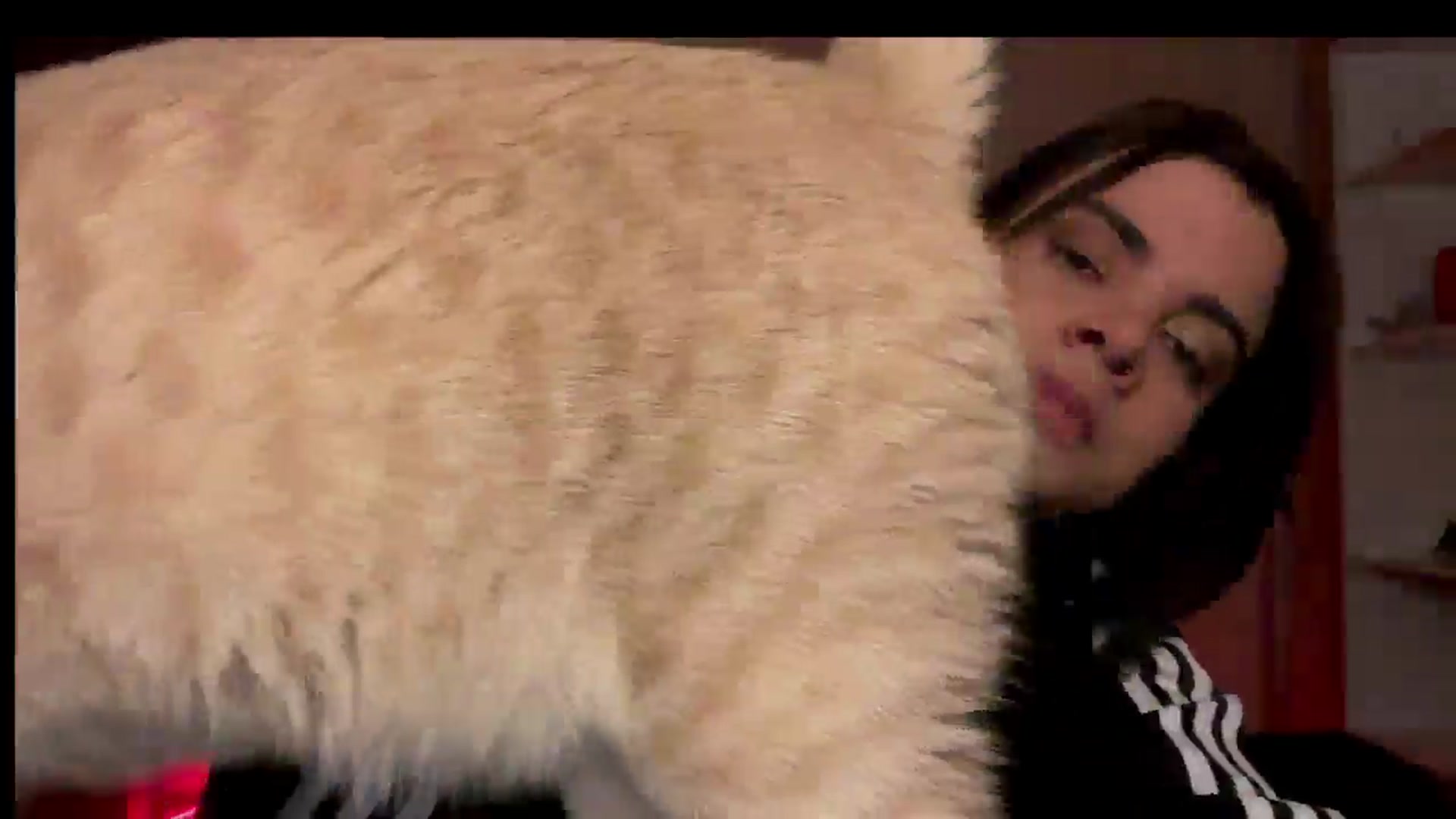 Gallery image thumbnail from Shin_nyanya's myfreecams stream on, 12/29/2025, 01:25 image 10 of 20
