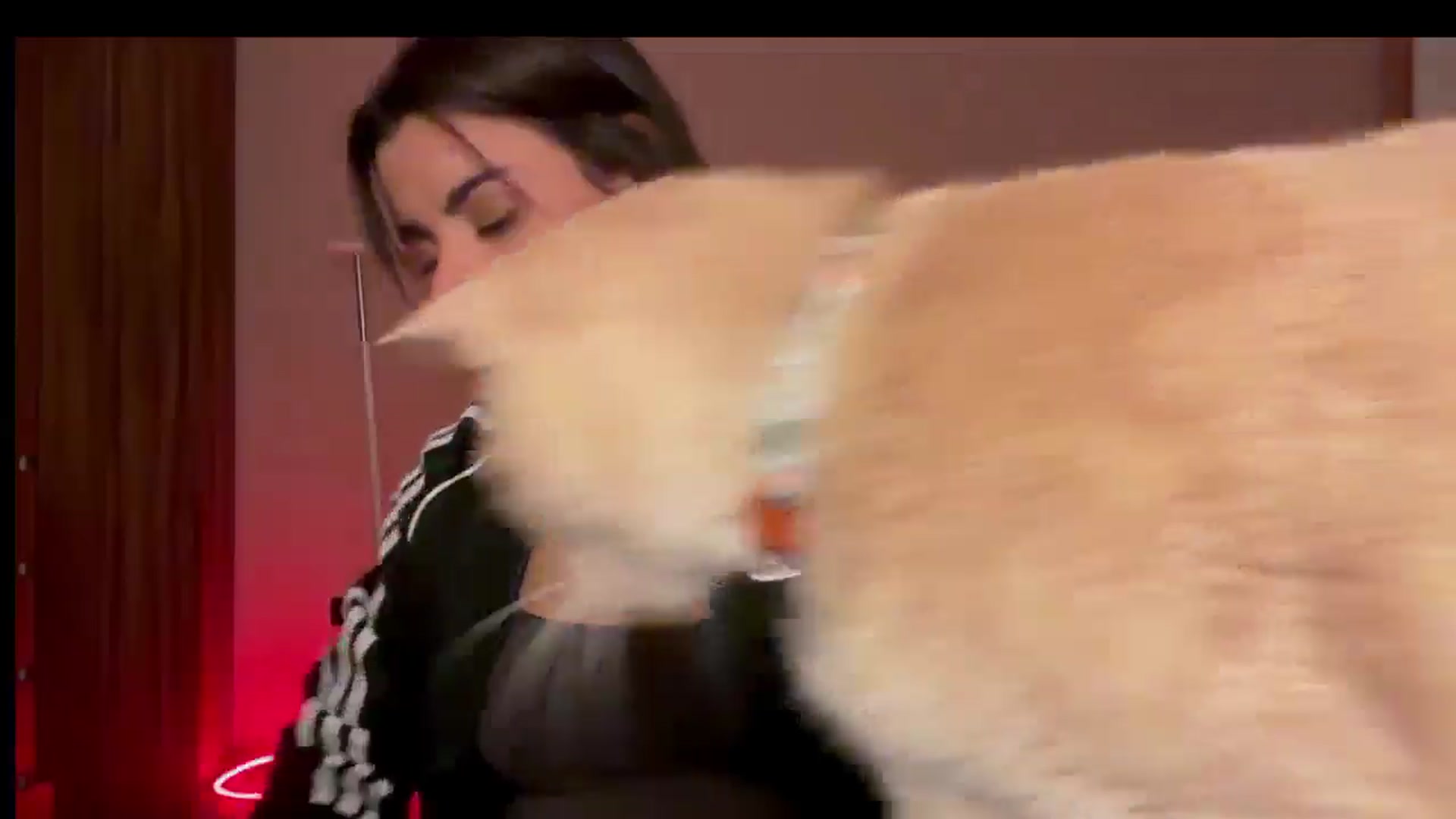 Gallery image thumbnail from Shin_nyanya's myfreecams stream on, 12/29/2025, 01:25 image 7 of 20