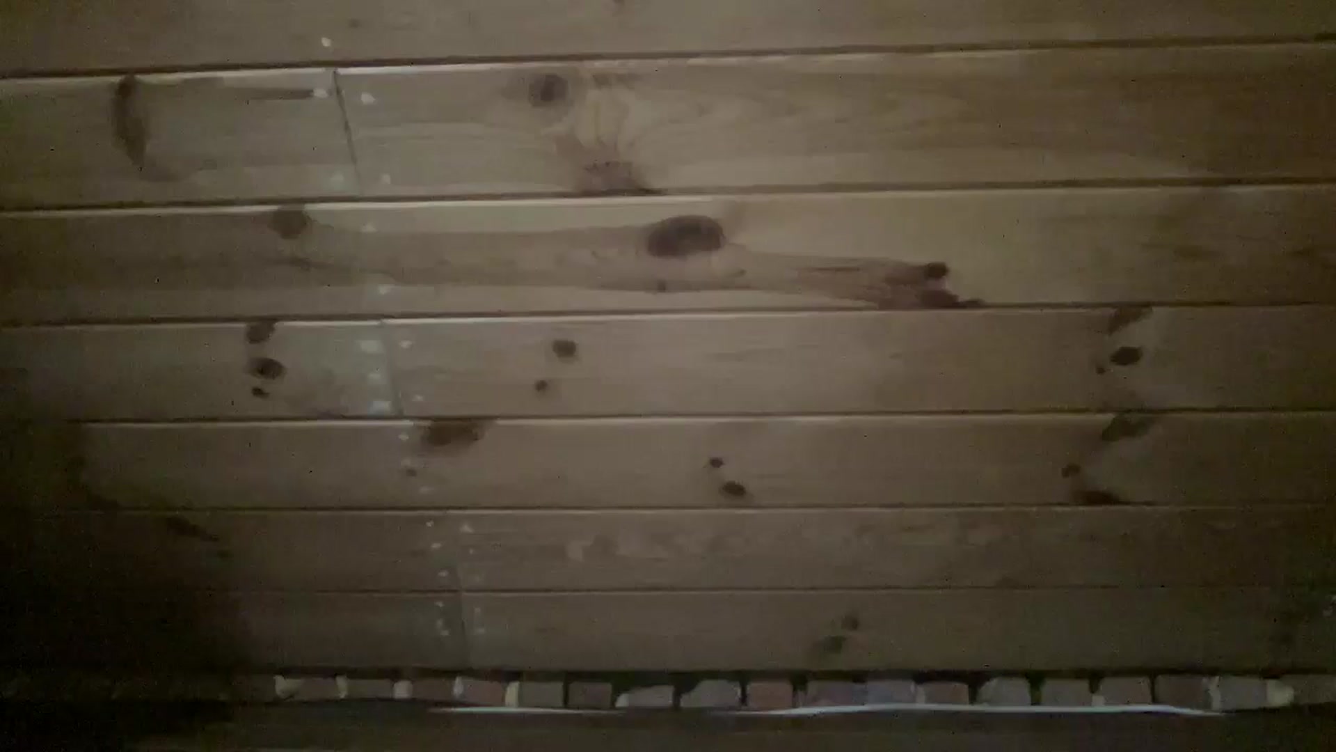 Gallery image thumbnail from Shinie_'s myfreecams stream on, 11/09/2025, 20:41 image 6 of 20