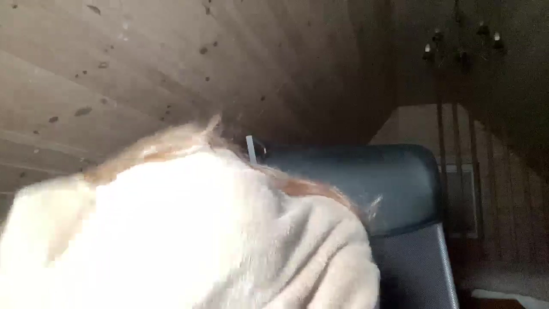 Gallery image thumbnail from Shinie_'s myfreecams stream on, 11/16/2025, 21:39 image 14 of 20
