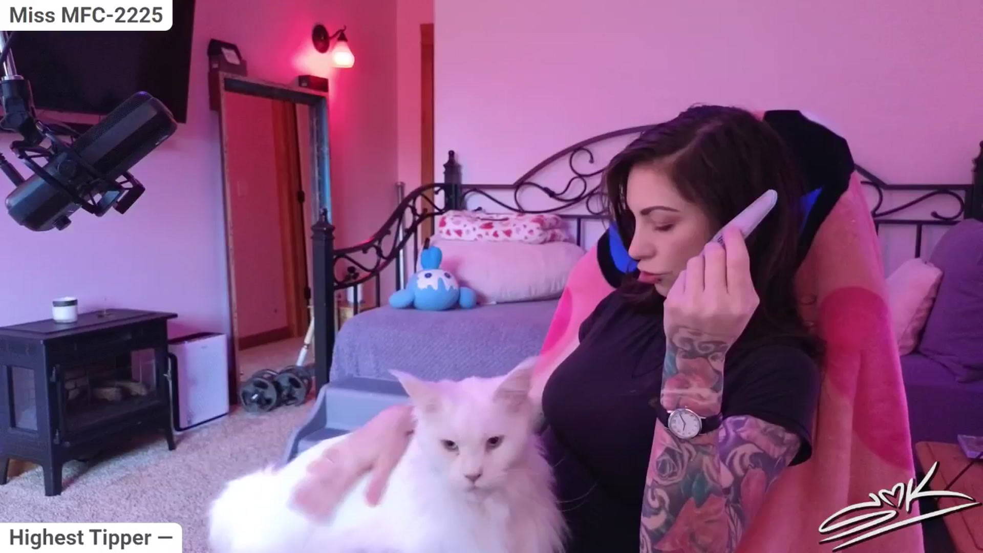 Gallery image thumbnail from ShowMeKitties's myfreecams stream on, 08/06/2025, 18:27 image 2 of 20
