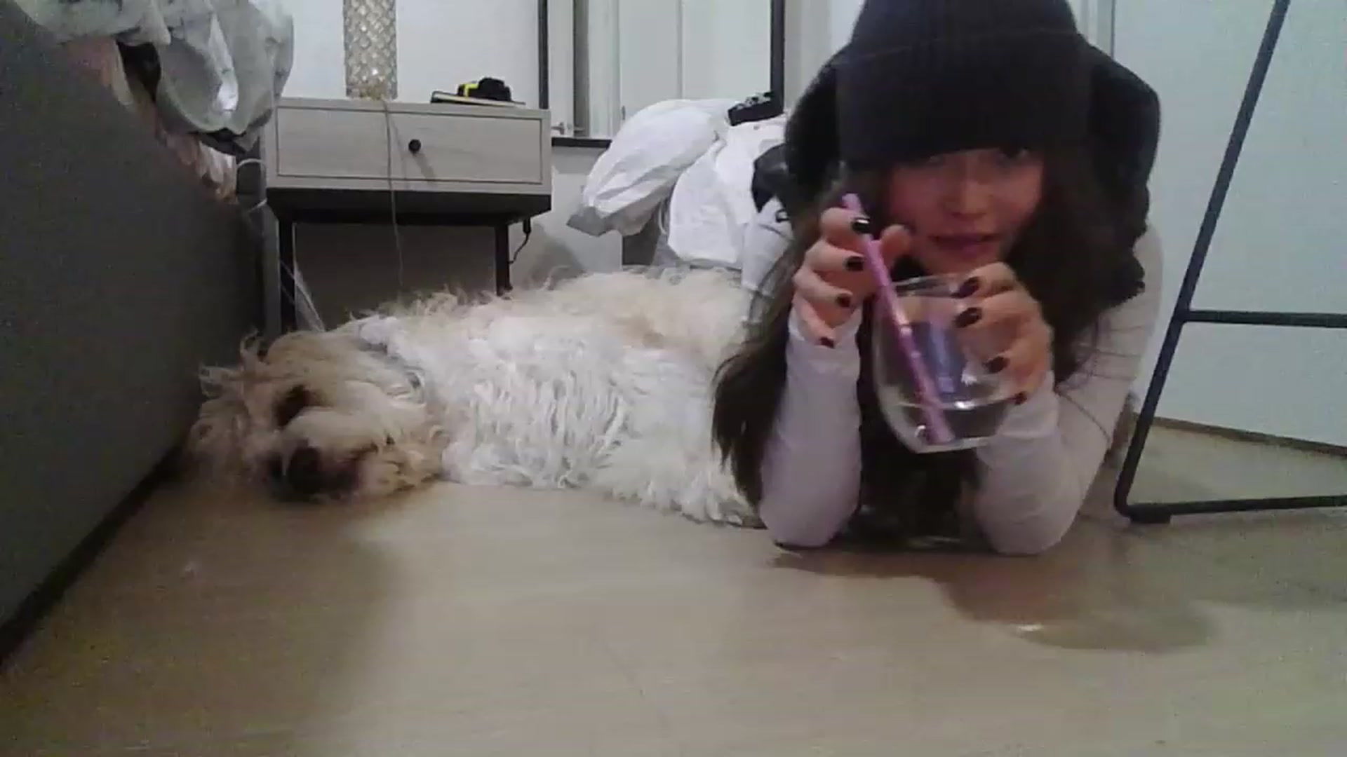 Gallery image thumbnail from ShrimpDumplin's myfreecams stream on, 11/14/2022, 11:13 image 15 of 20