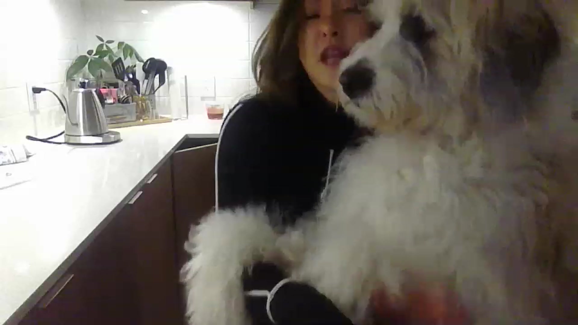 Gallery image thumbnail from ShrimpDumplin's myfreecams stream on, 11/20/2022, 03:09 image 3 of 20