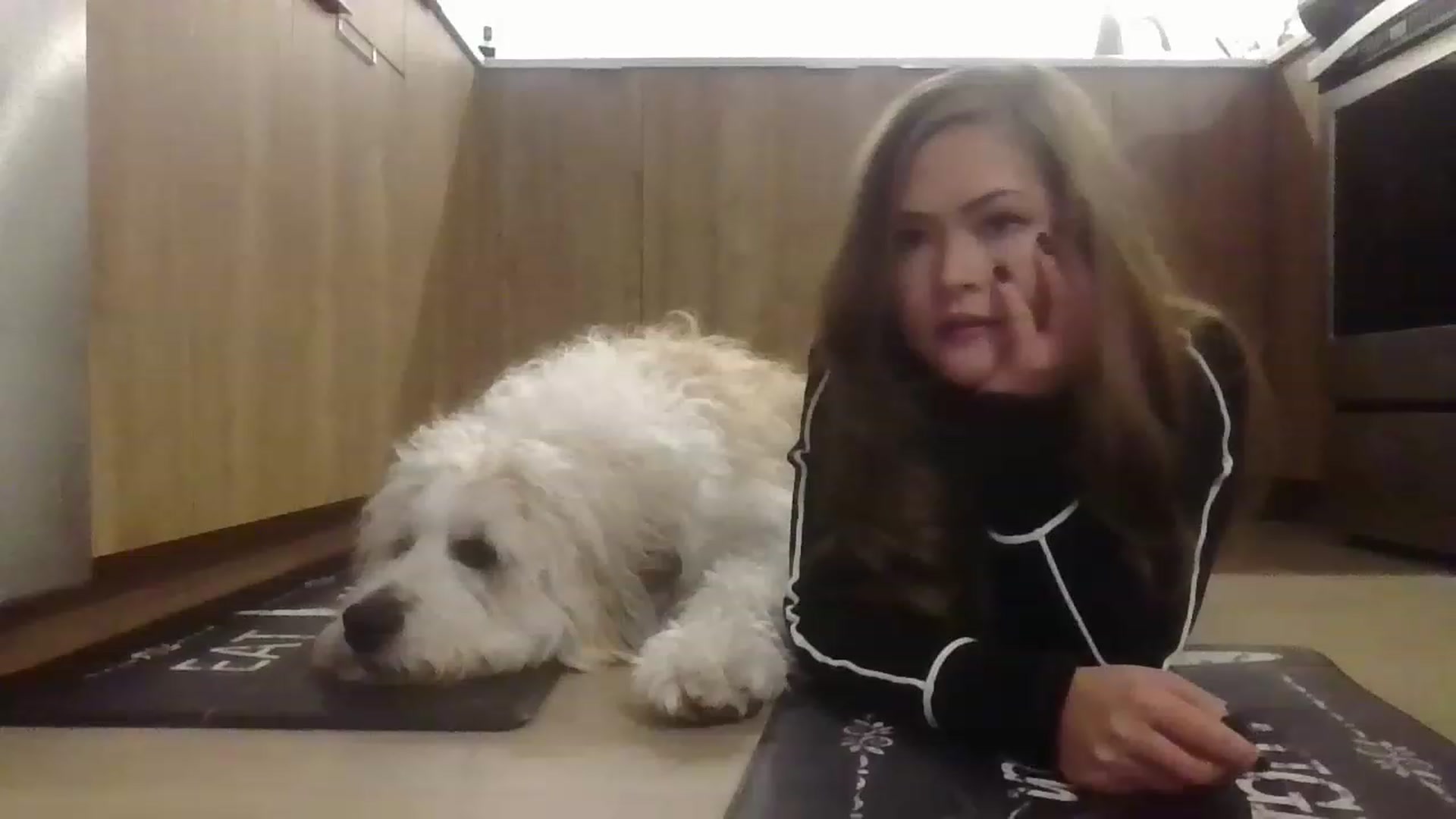 Gallery image thumbnail from ShrimpDumplin's myfreecams stream on, 11/20/2022, 03:09 image 13 of 20