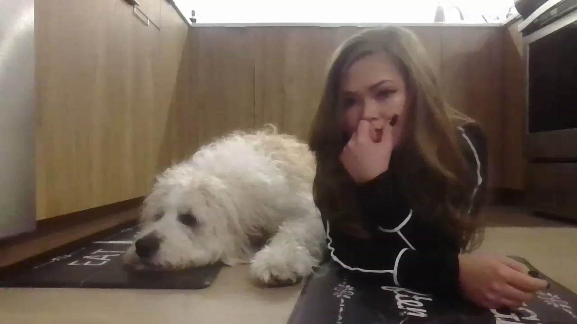 Gallery image thumbnail from ShrimpDumplin's myfreecams stream on, 11/20/2022, 03:09 image 14 of 20